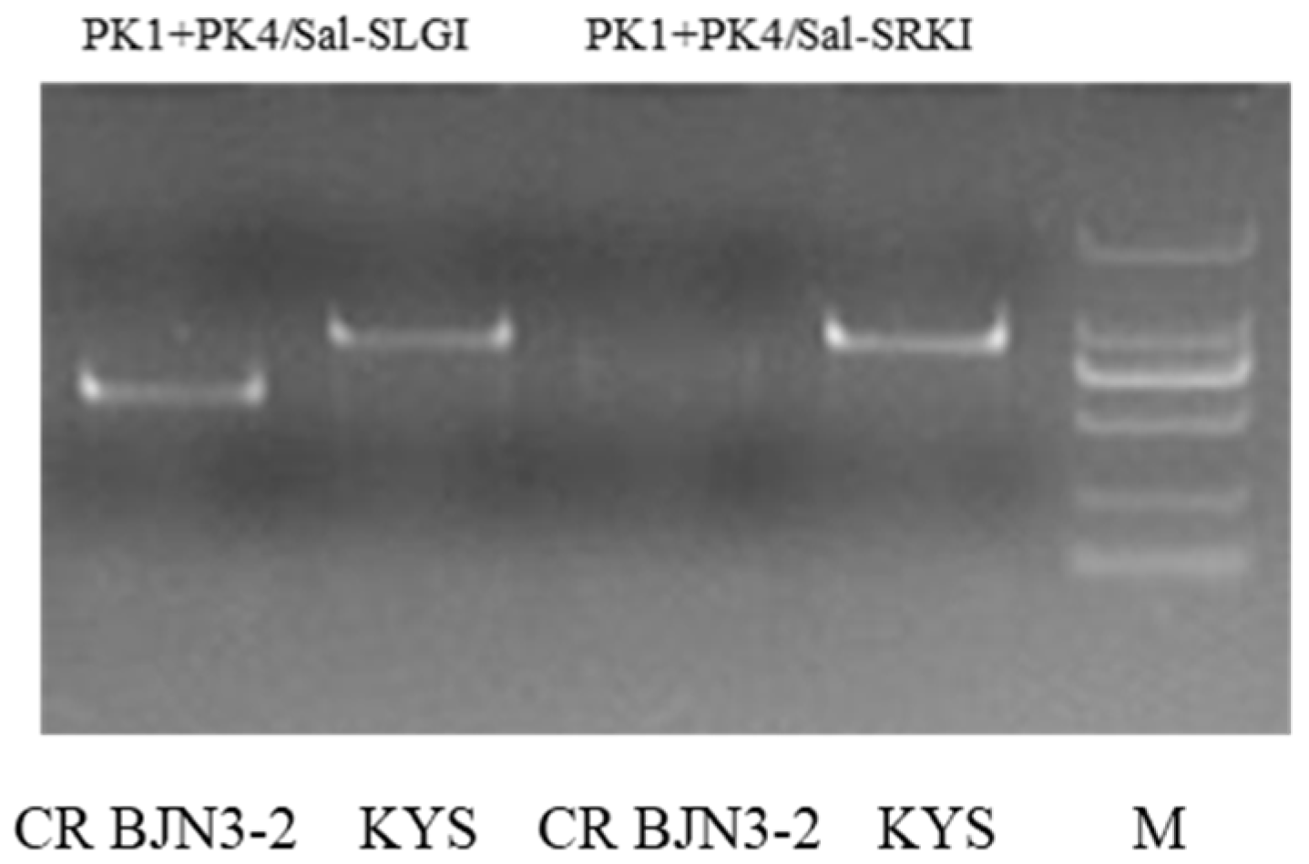 Horticulturae 08 00139 g002