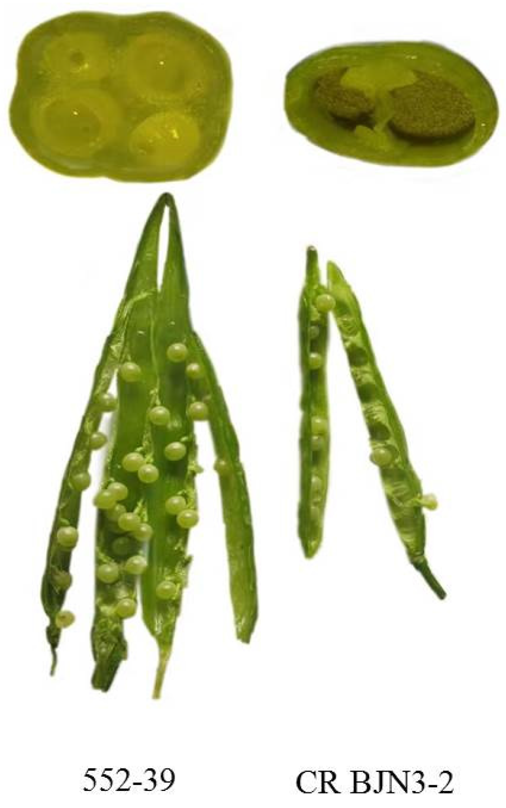 Horticulturae 08 00139 g007