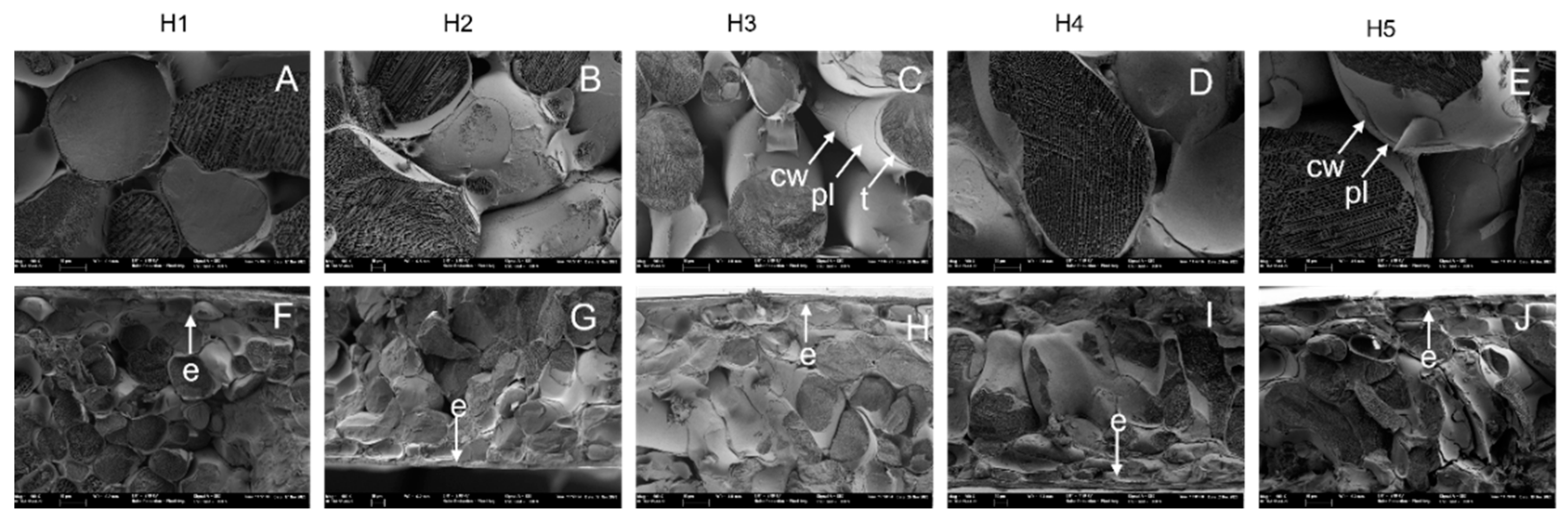 Horticulturae 08 00140 g004 550