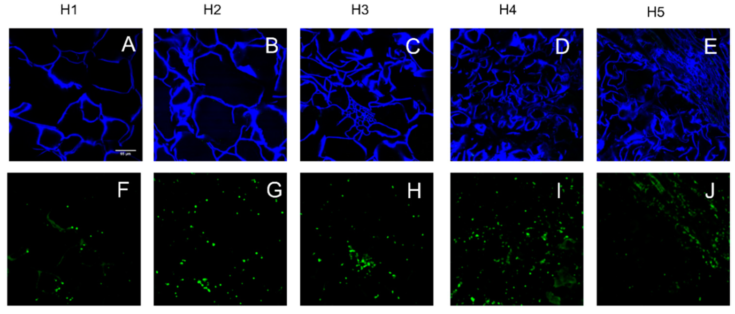 Horticulturae 08 00140 g005 550