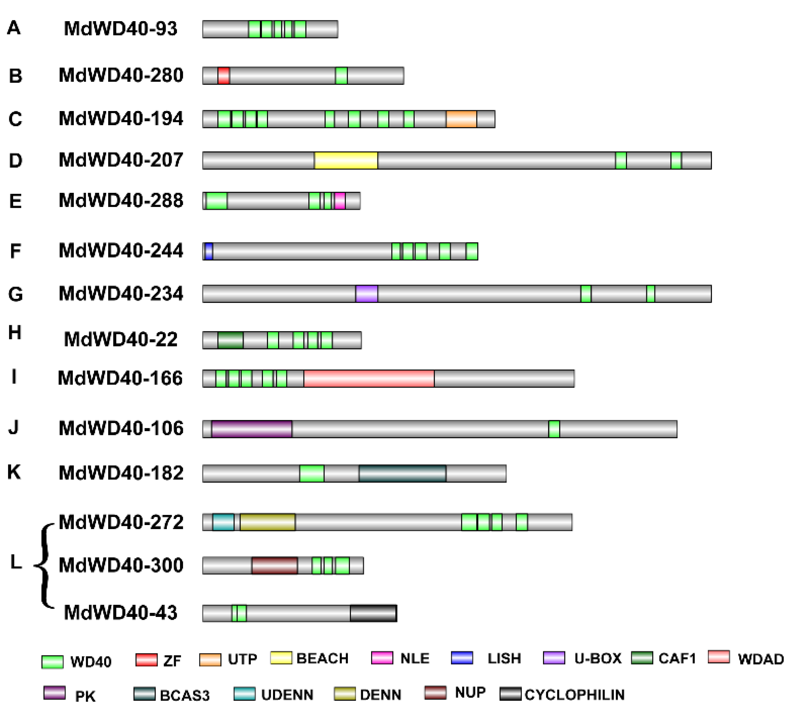 Horticulturae 08 00141 g002