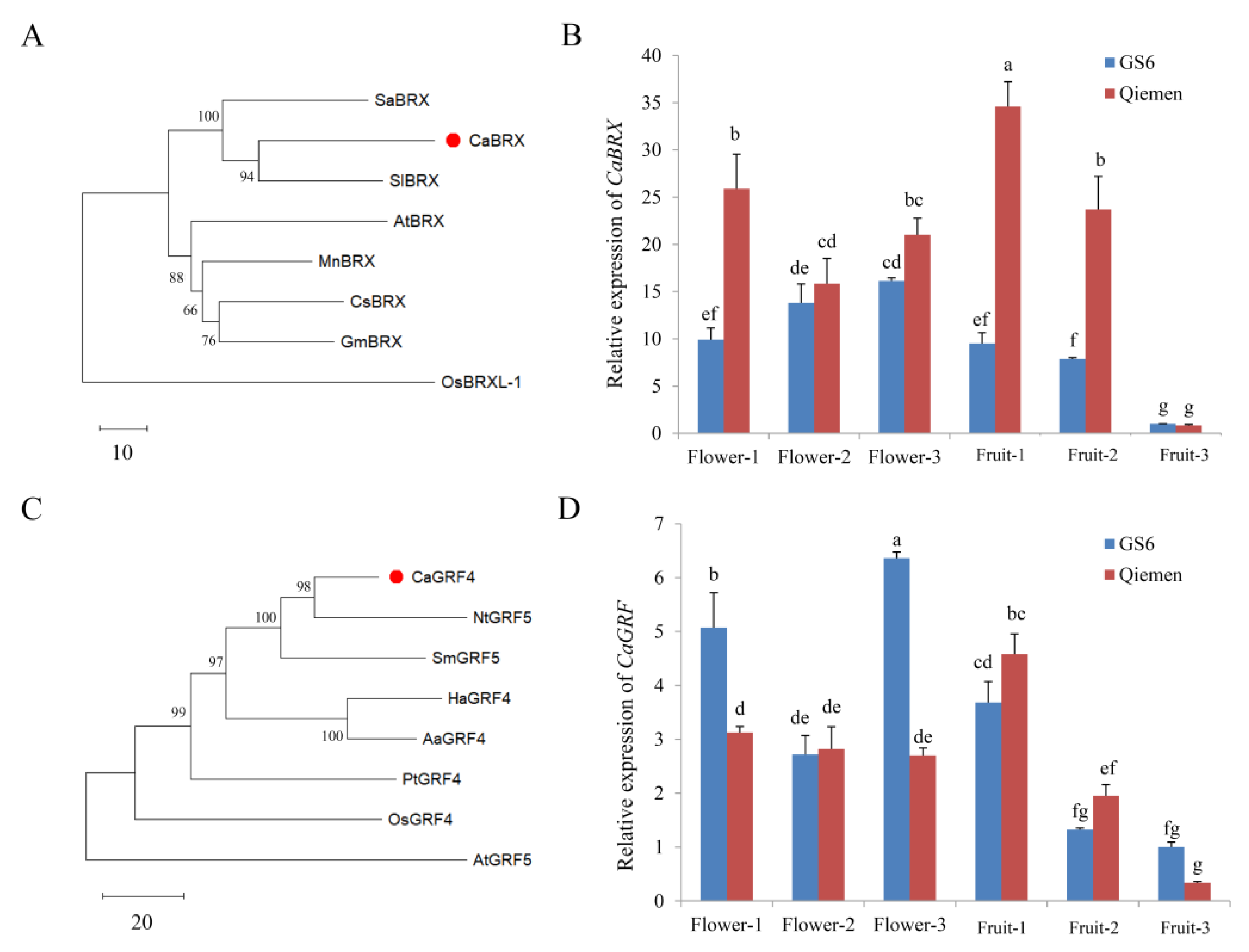 Horticulturae 08 00146 g004 550