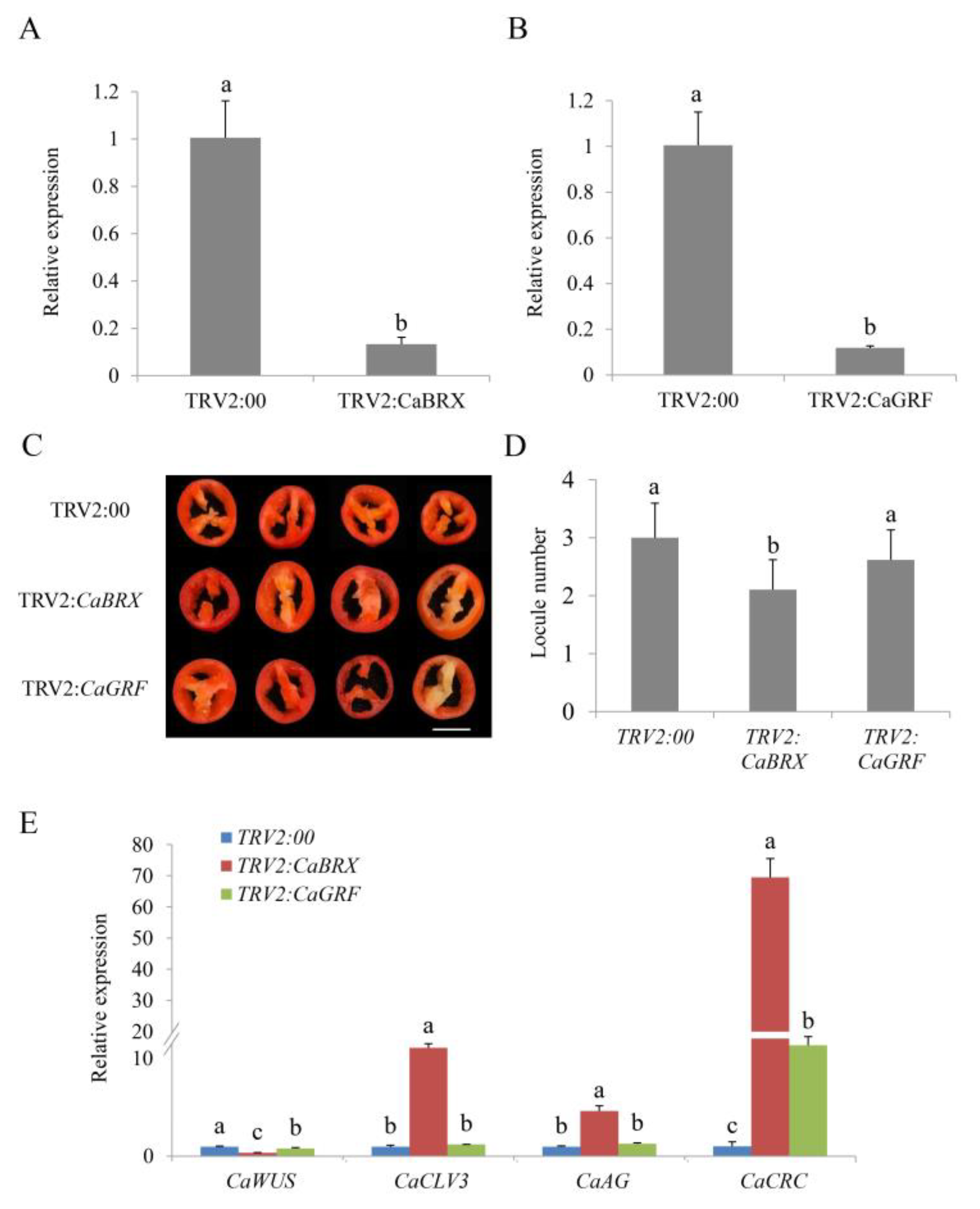 Horticulturae 08 00146 g005 550
