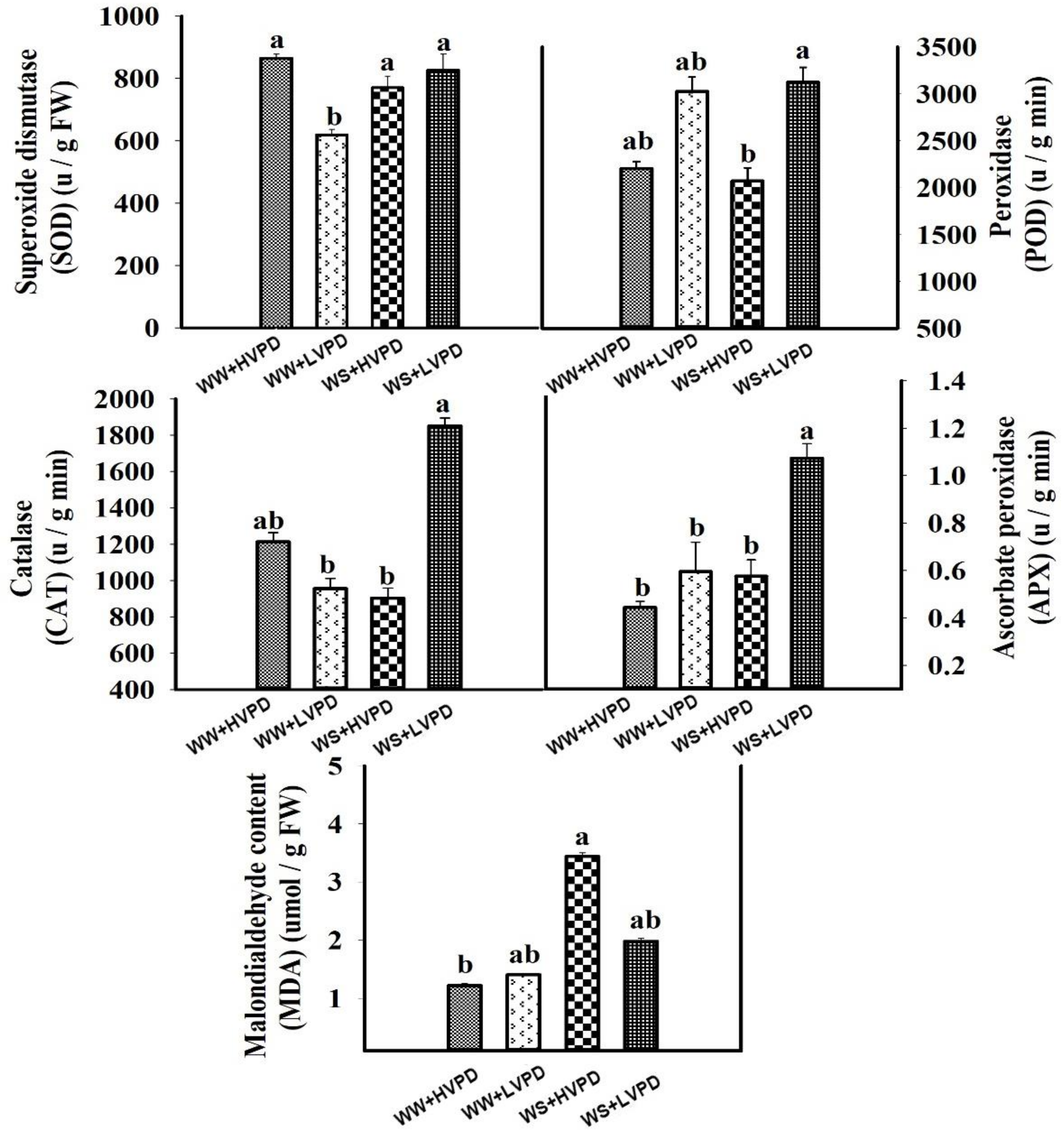 Horticulturae 08 00147 g008 550