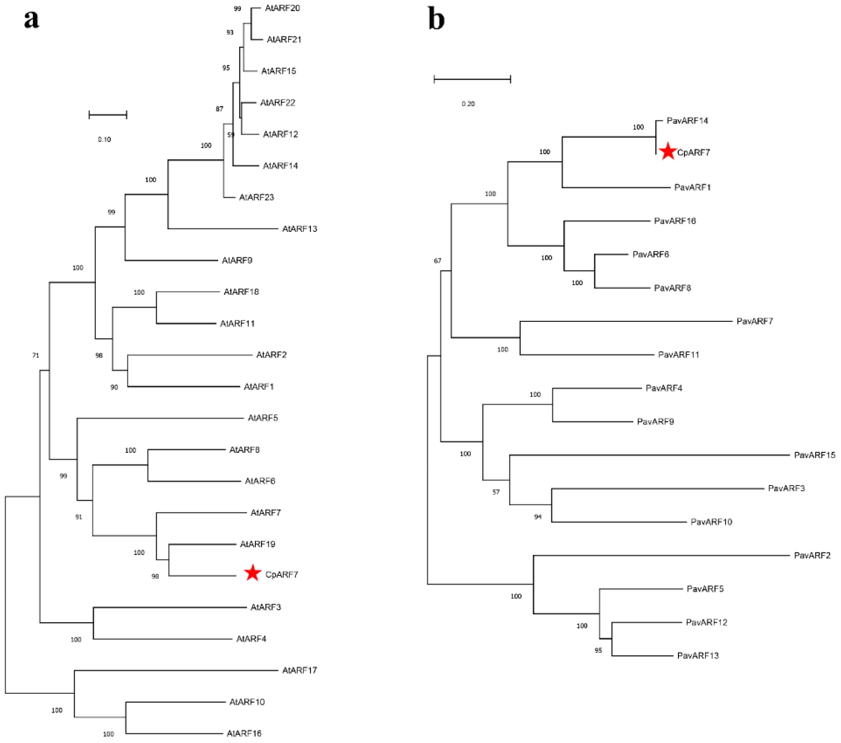 Horticulturae 08 00158 g001