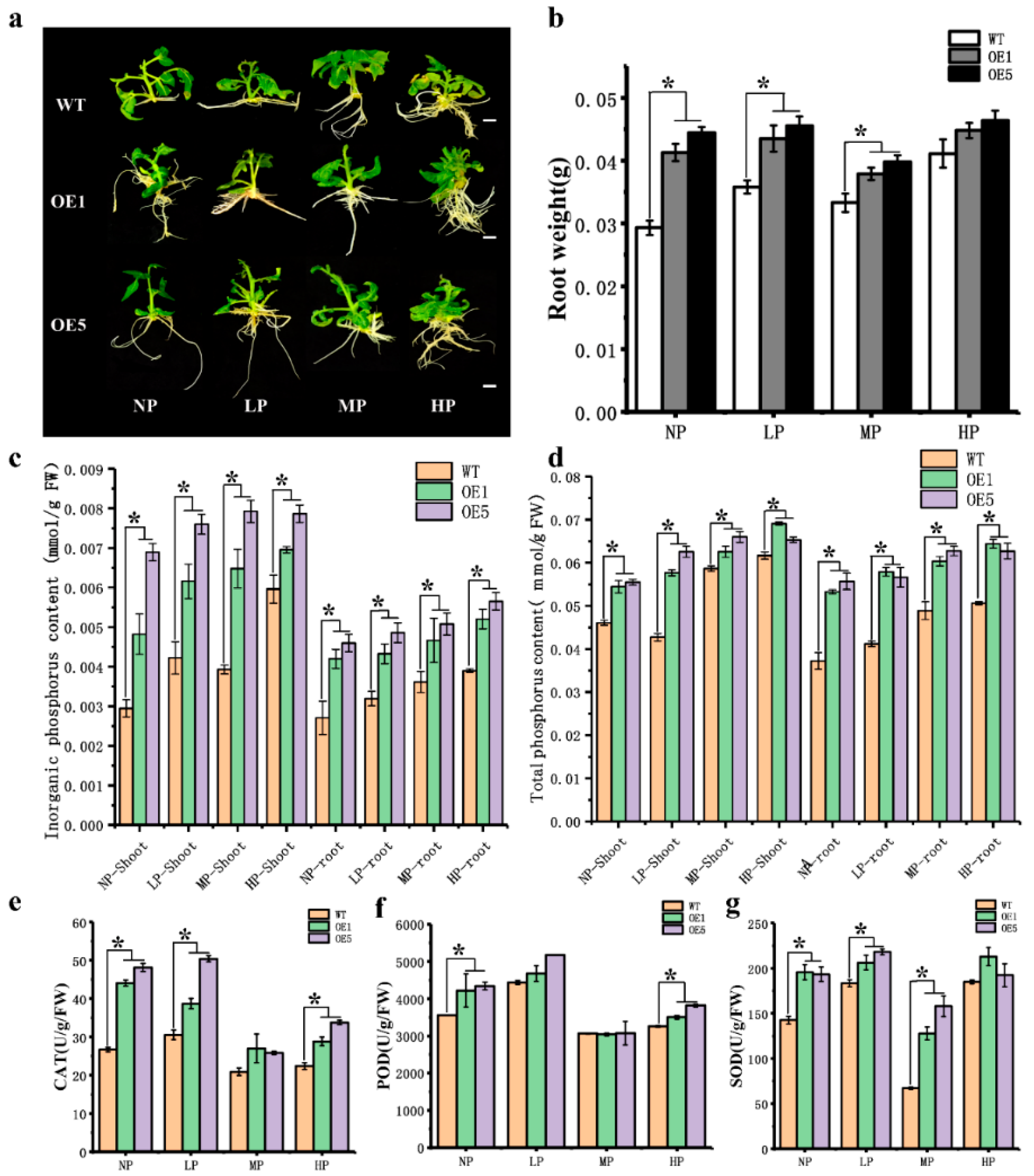 Horticulturae 08 00158 g006