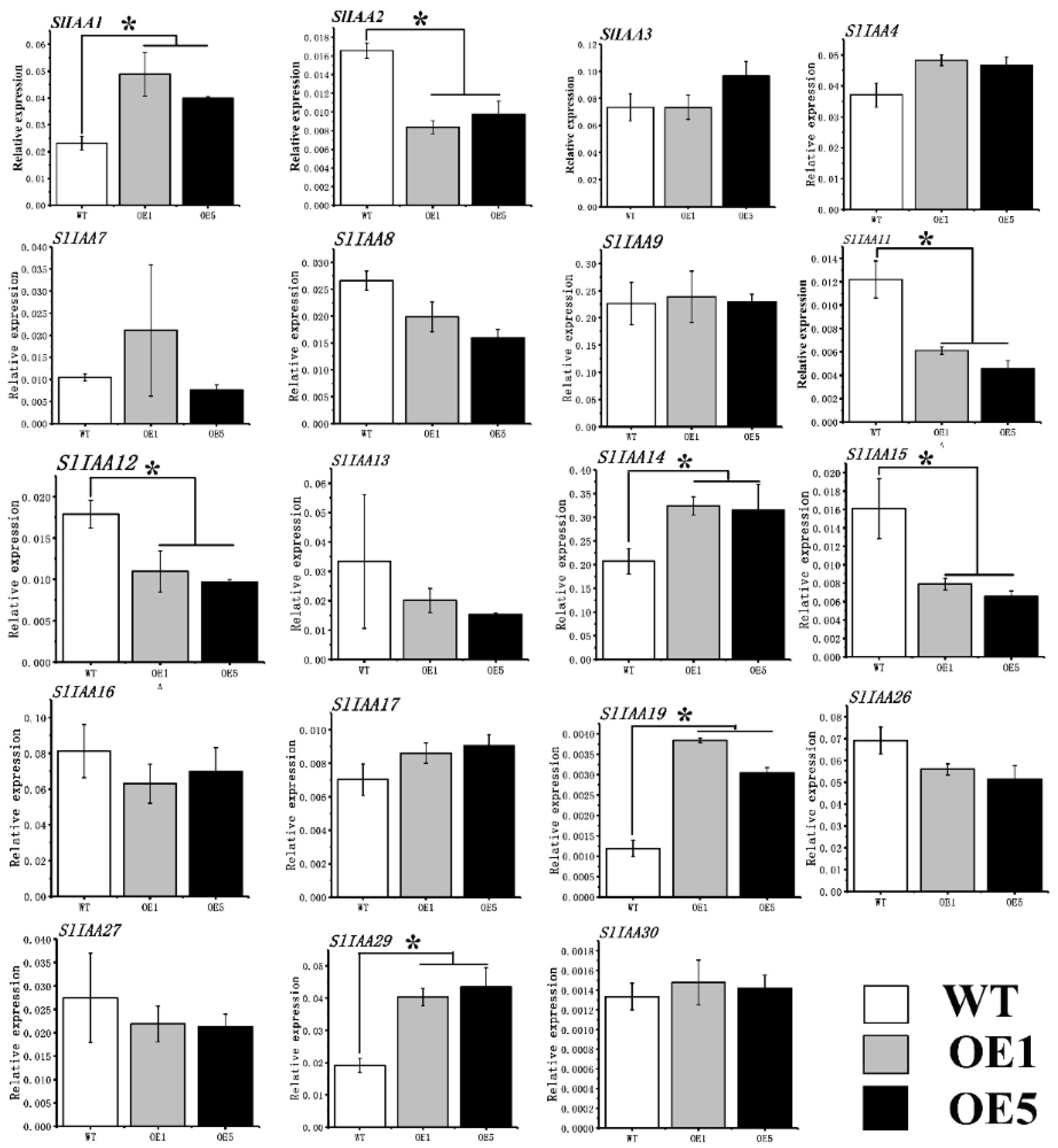 Horticulturae 08 00158 g007