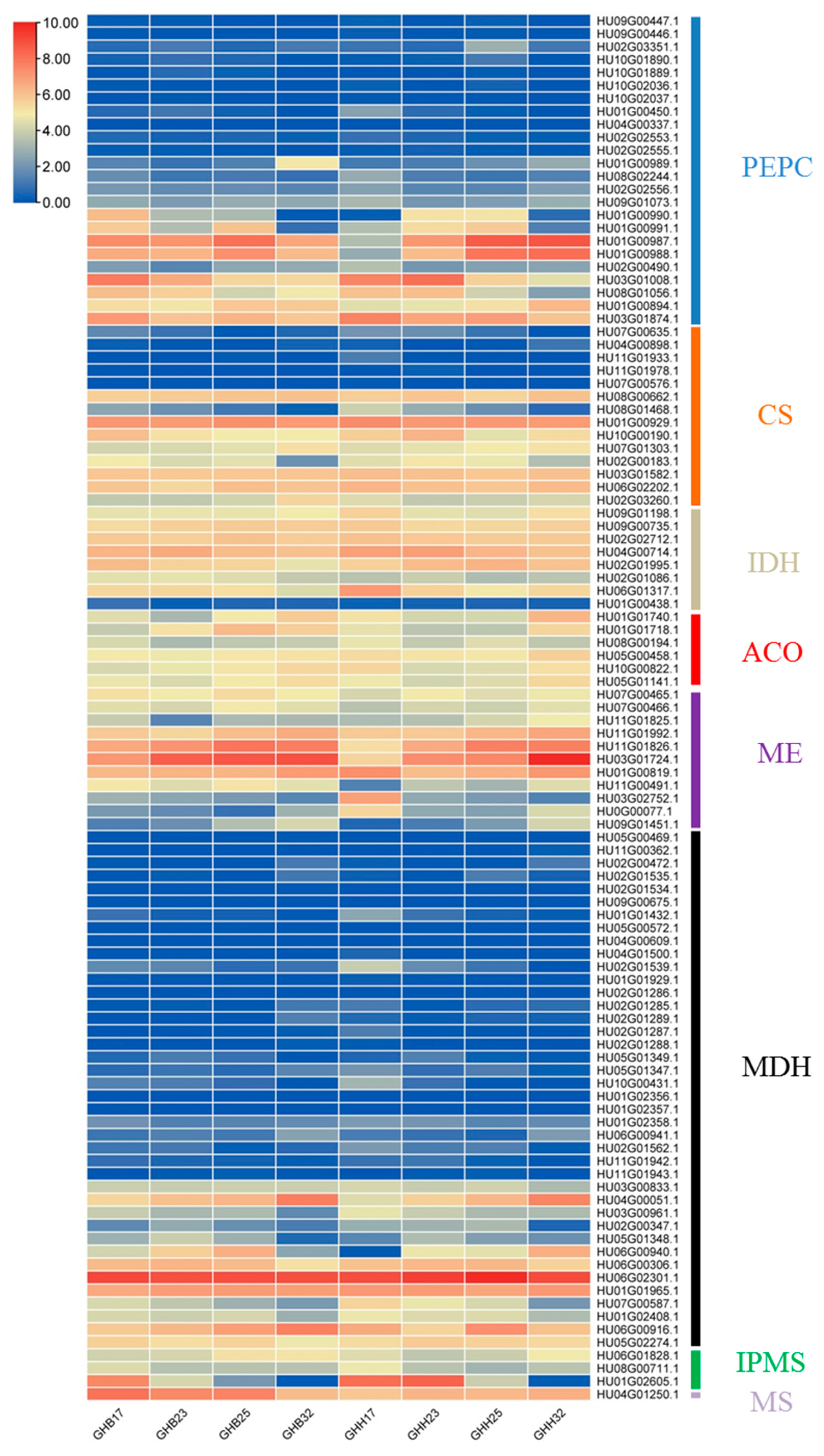 Horticulturae 08 00167 g003 550
