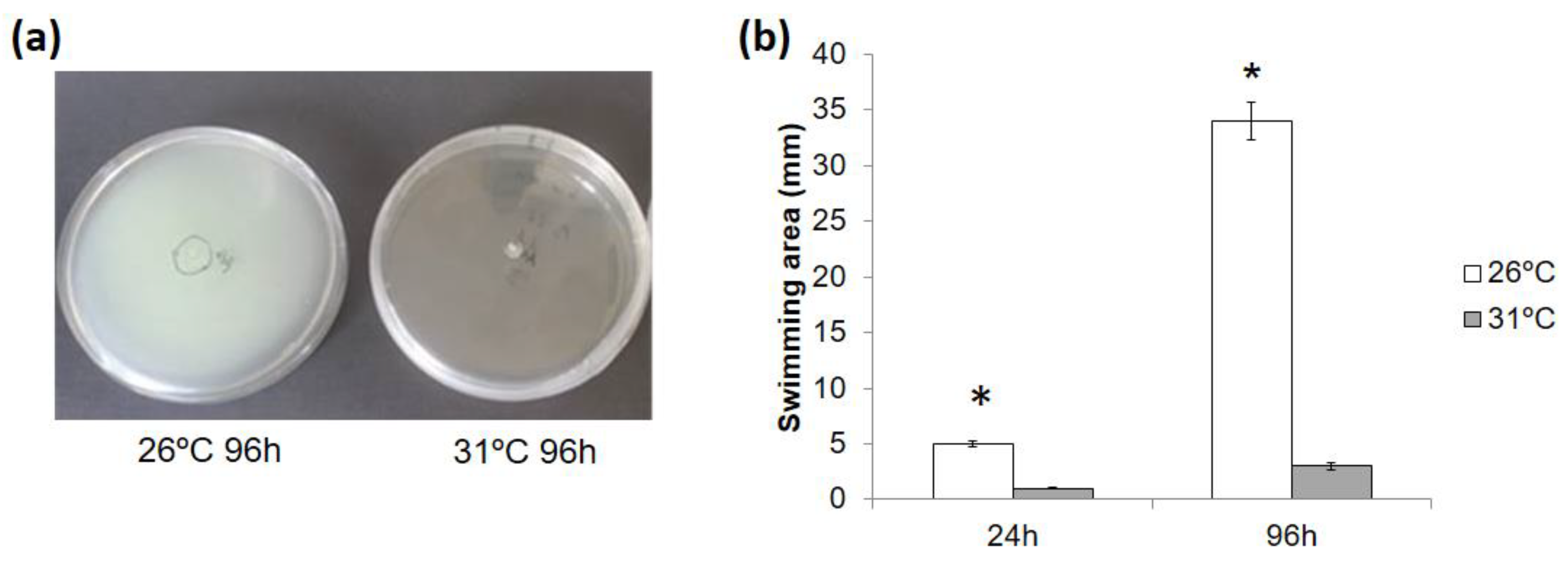 Horticulturae 08 00174 g011 Horticulturae 08 00174 g011
