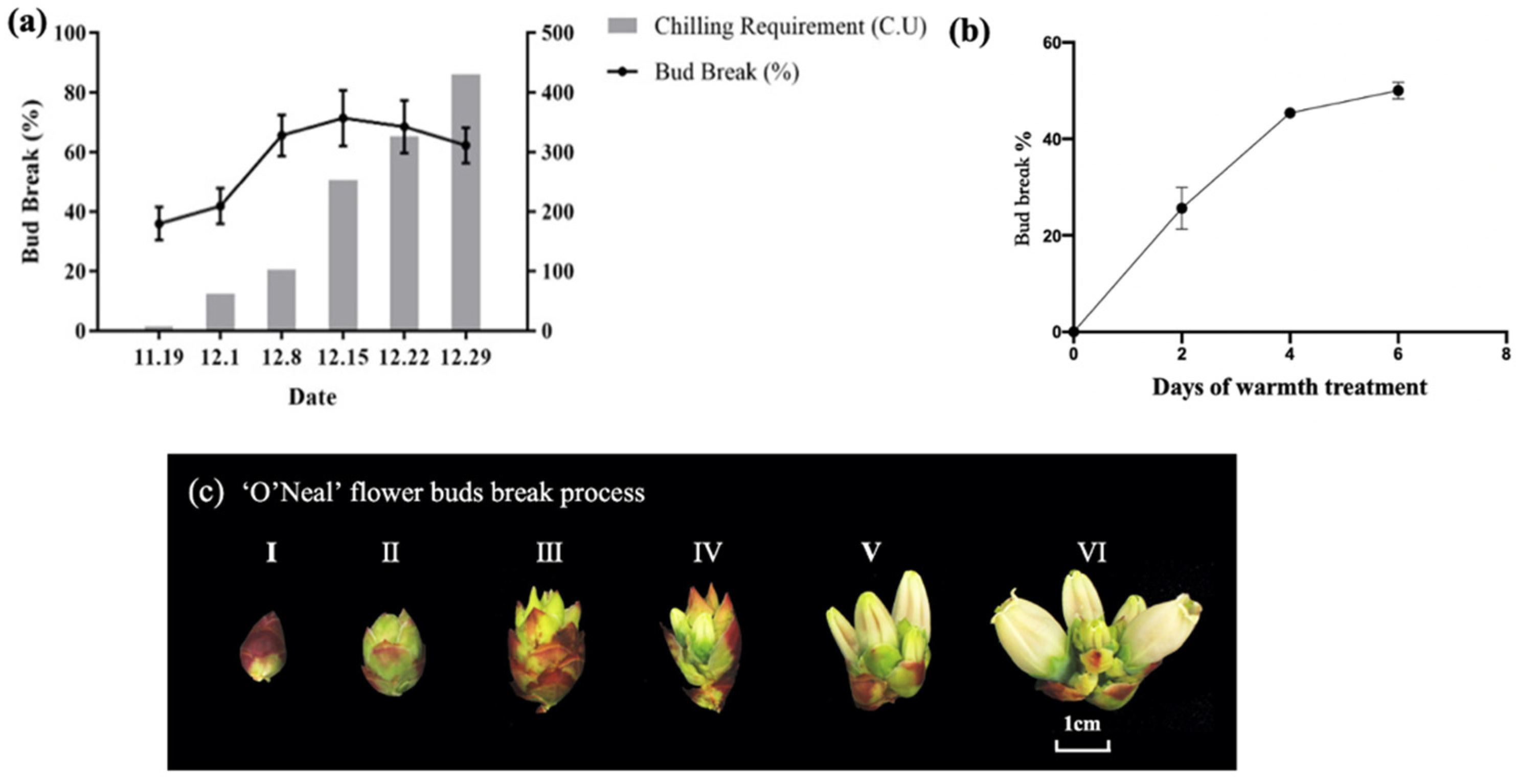 Horticulturae 08 00176 g001