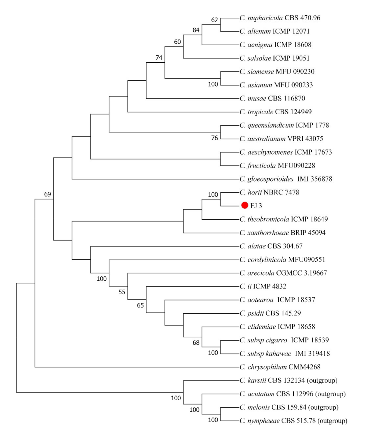 Horticulturae 08 00180 g003 Horticulturae 08 00180 g003