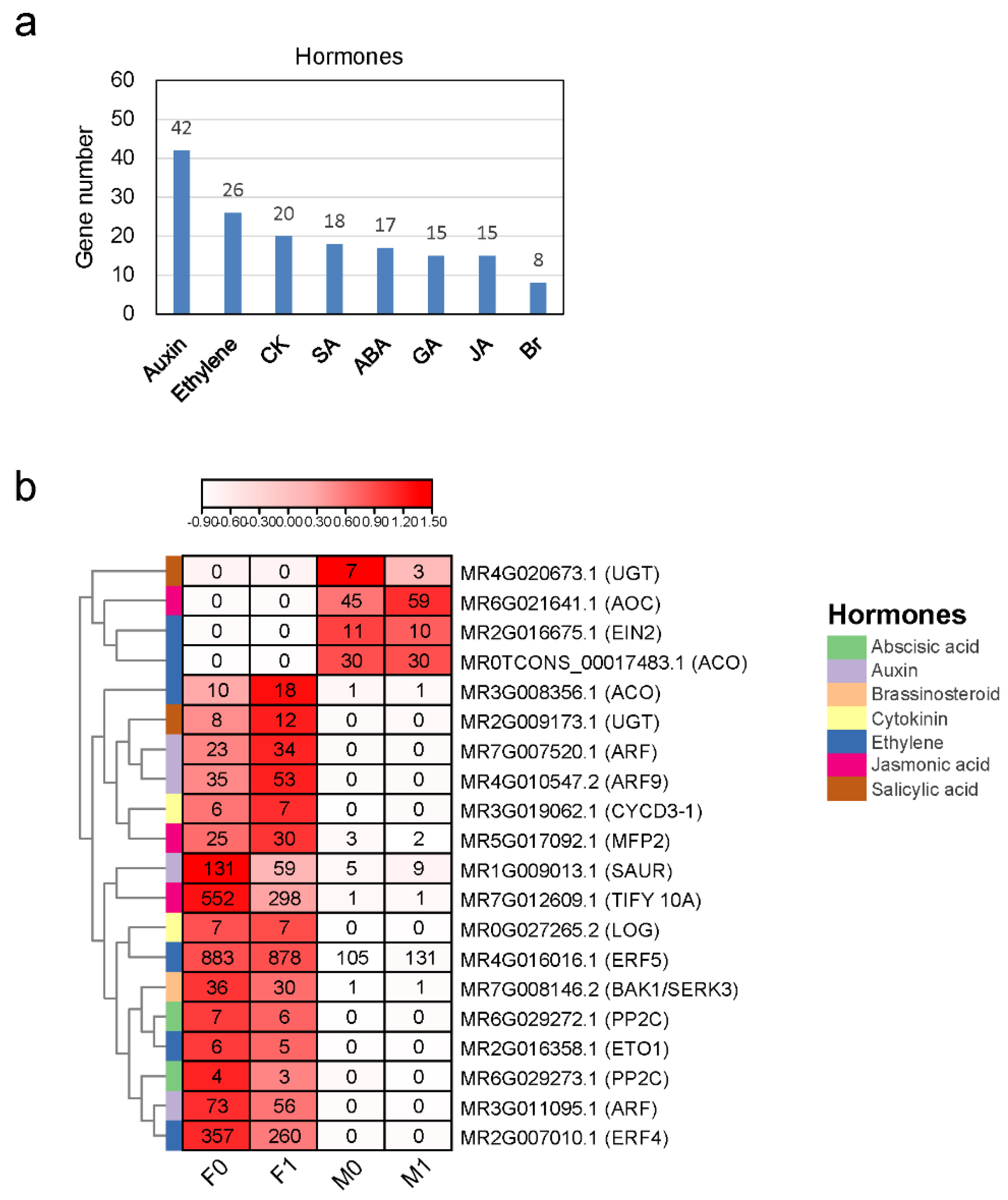 Horticulturae 08 00183 g003