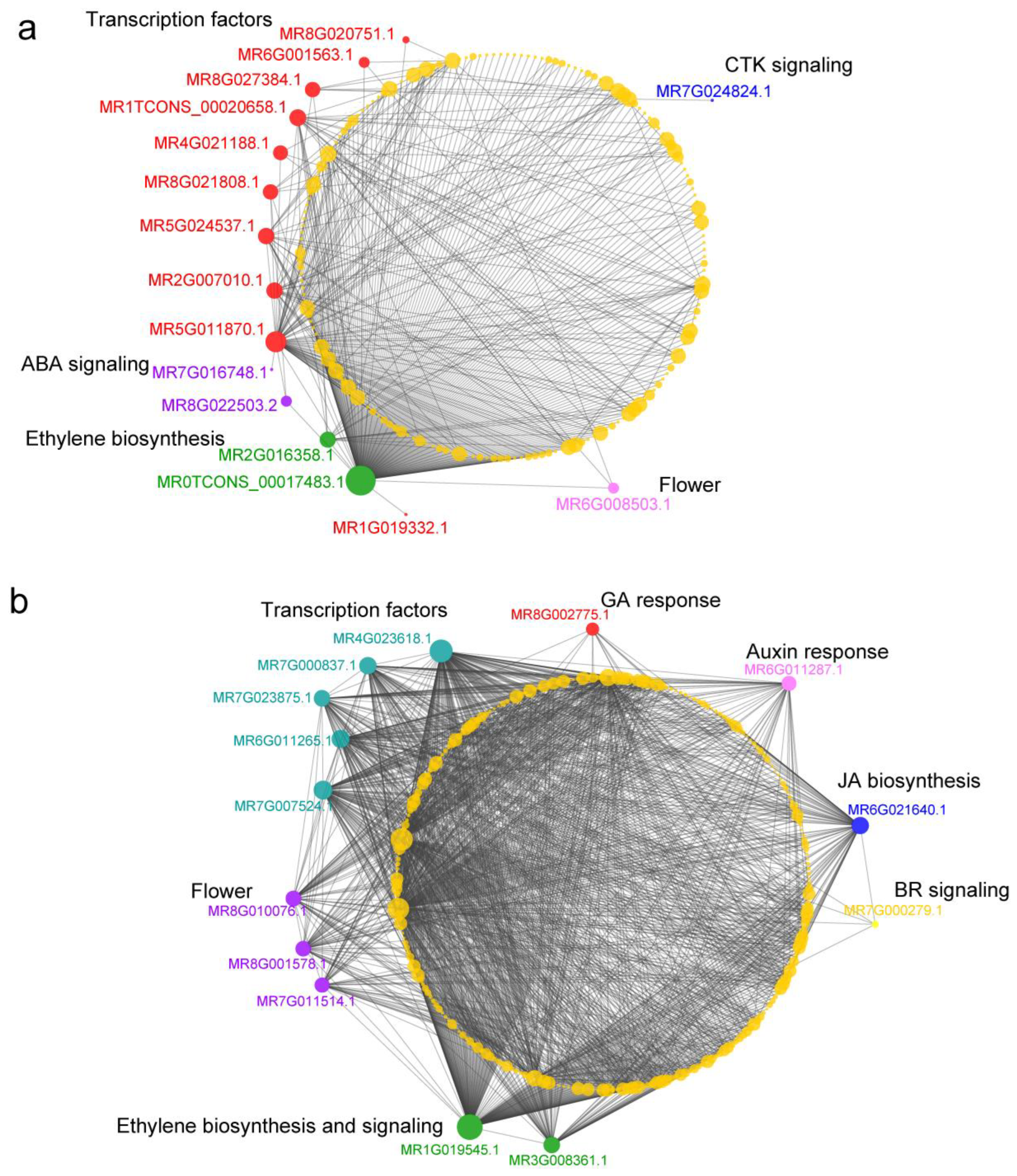 Horticulturae 08 00183 g006