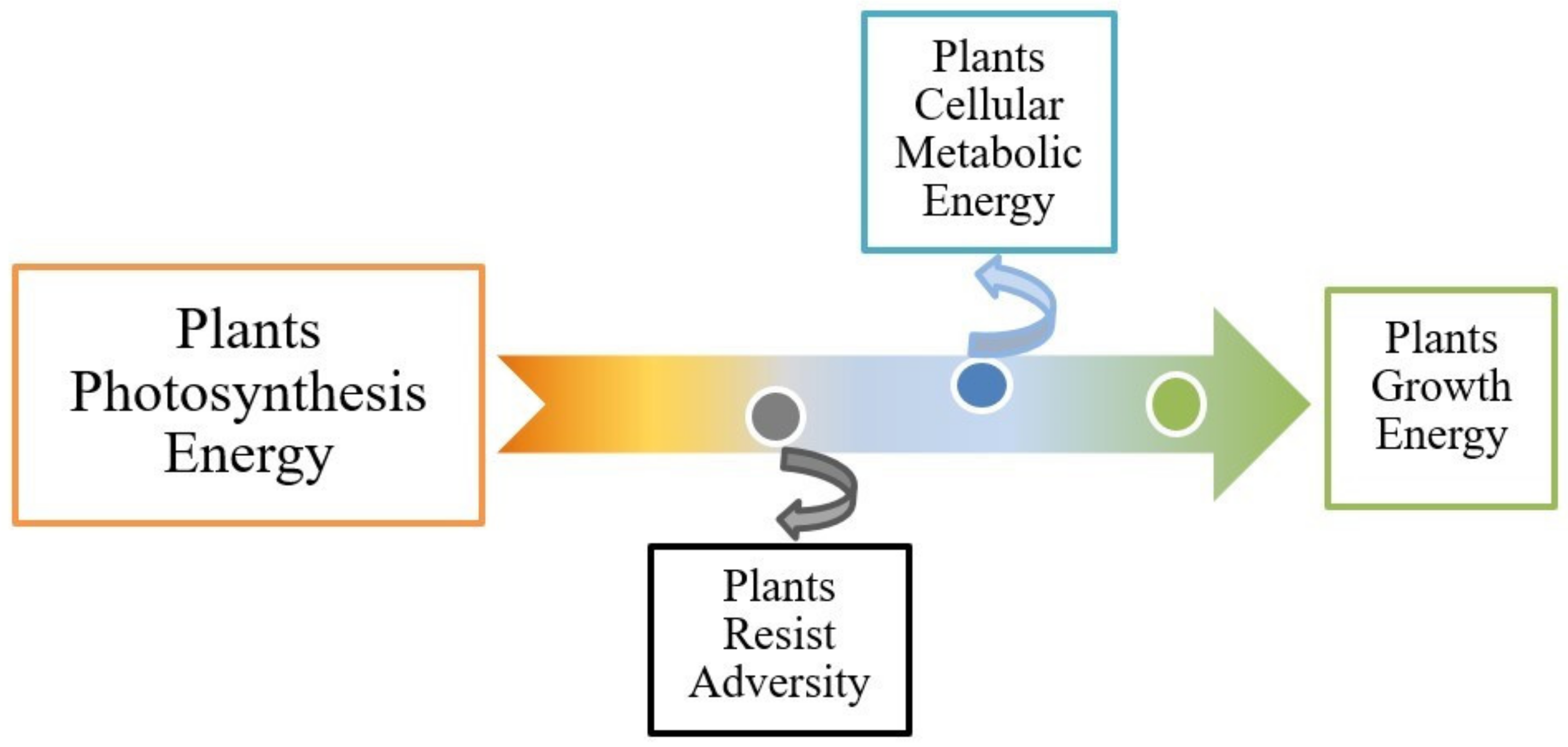 Horticulturae 08 00185 g001 550
