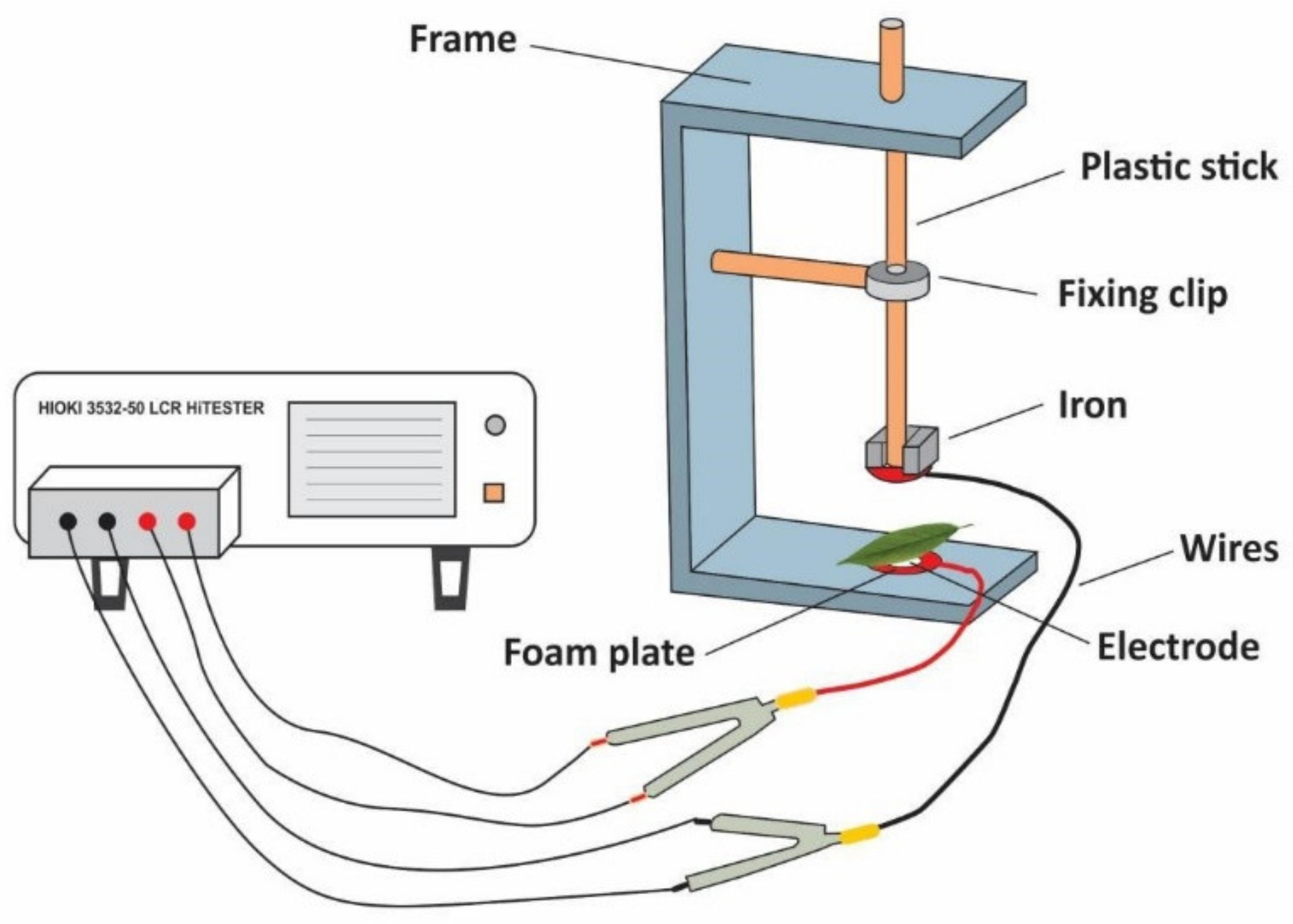 Horticulturae 08 00185 g002 550