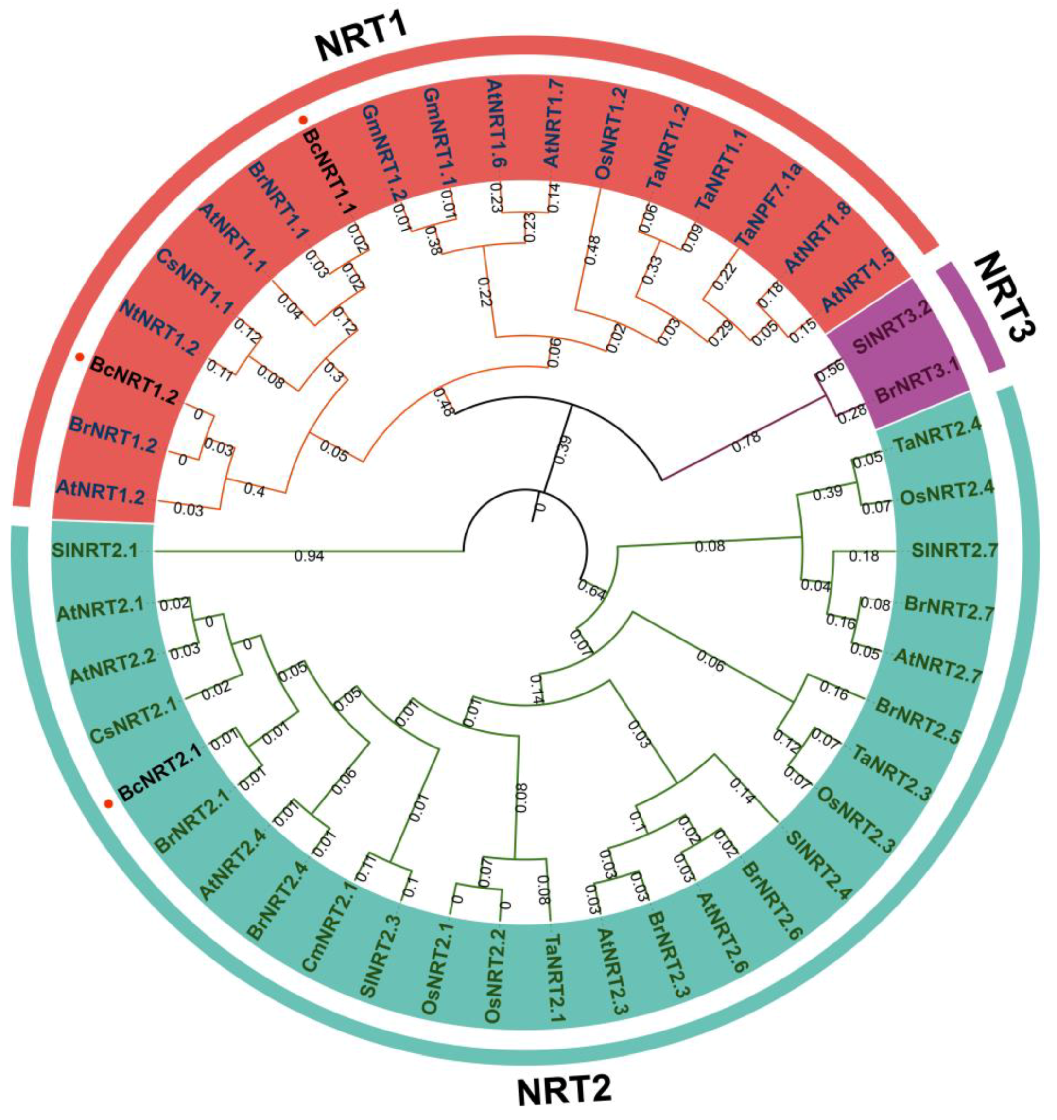 Horticulturae 08 00188 g001 550