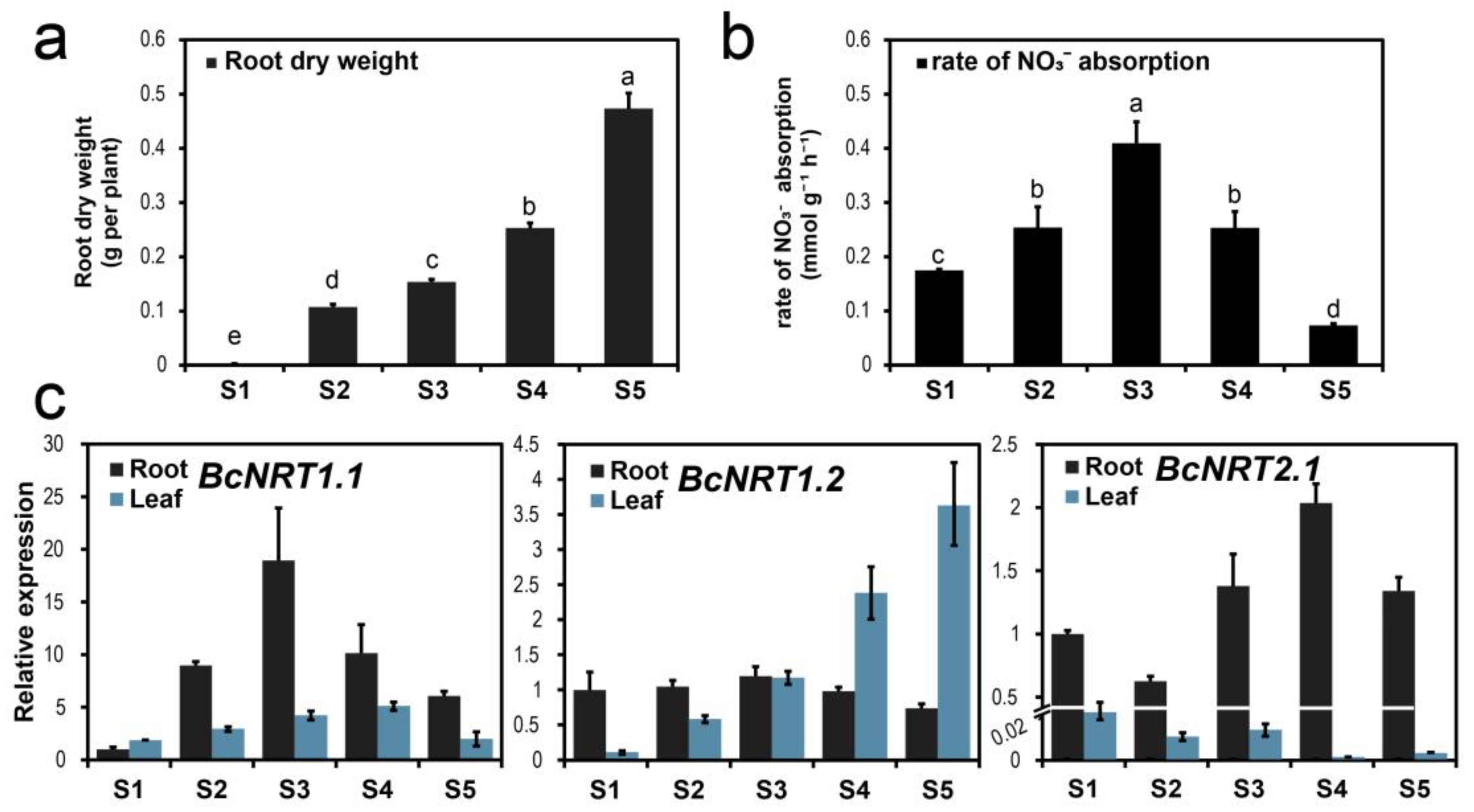 Horticulturae 08 00188 g002 550