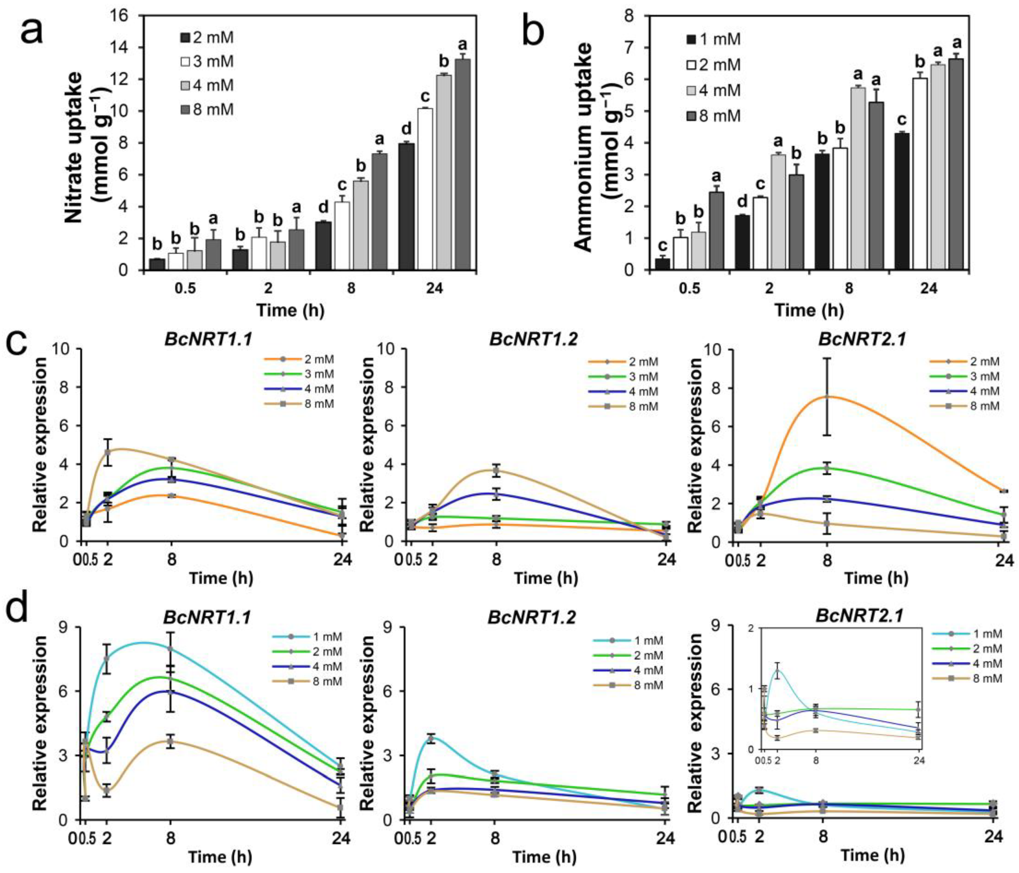 Horticulturae 08 00188 g003 550