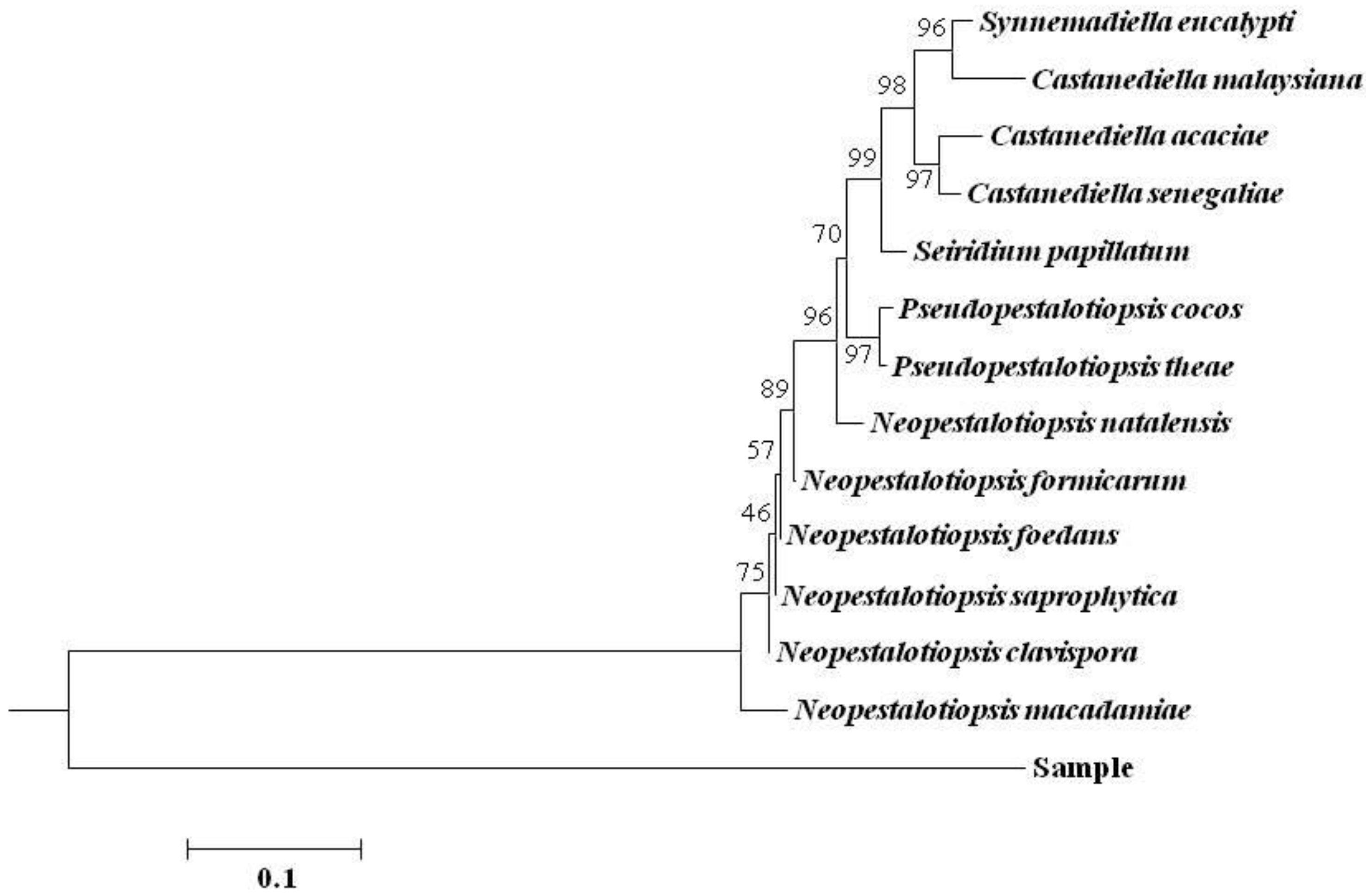 Horticulturae 08 00190 g003 Horticulturae 08 00190 g003