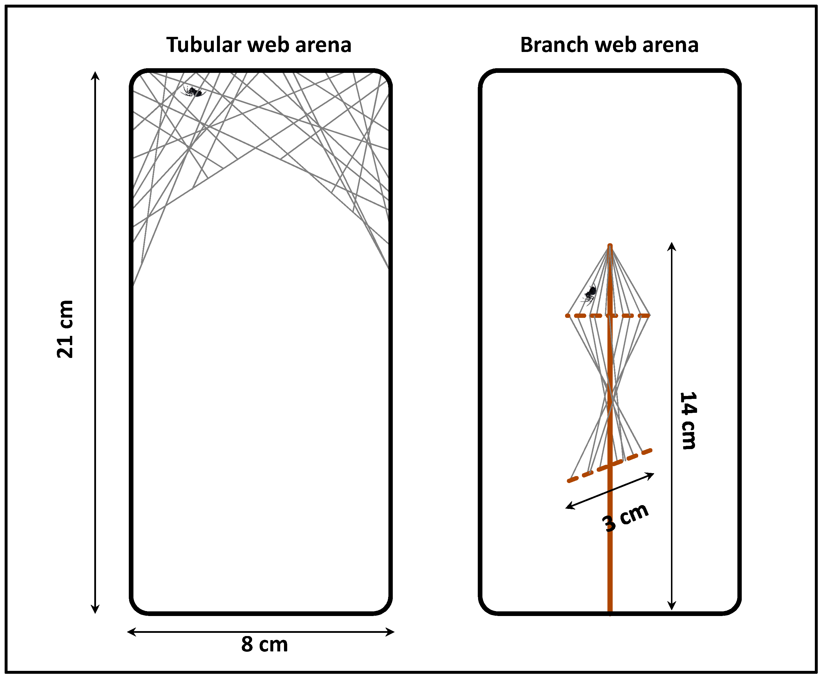 Horticulturae 08 00192 g002 550