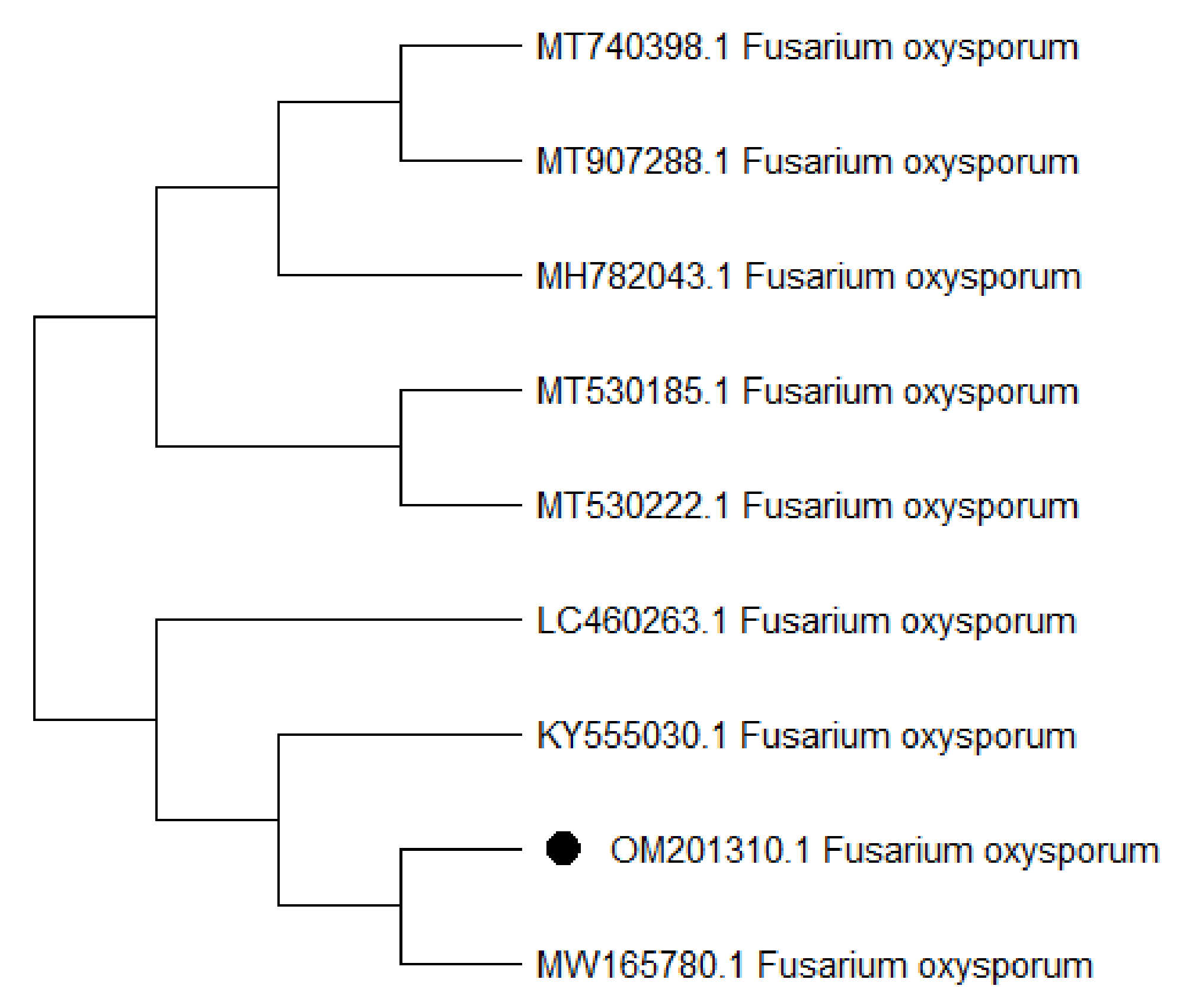 Horticulturae 08 00197 g002