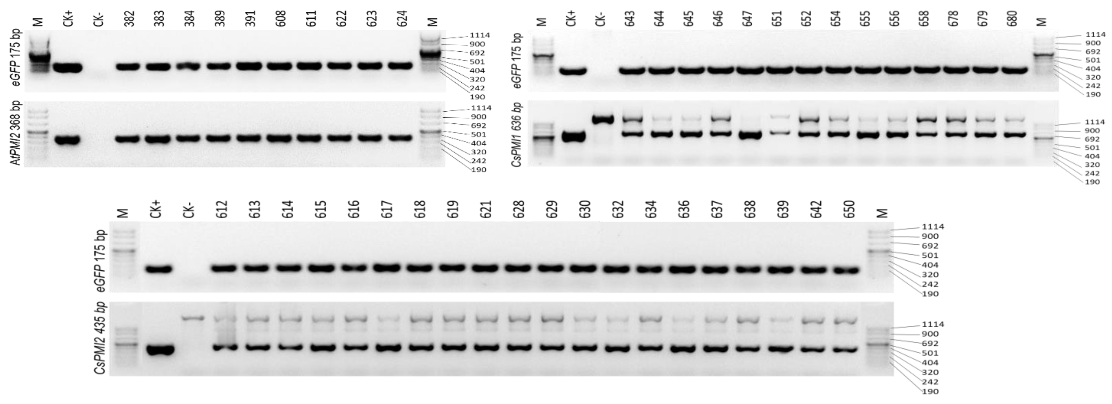 Horticulturae 08 00204 g002 Horticulturae 08 00204 g002