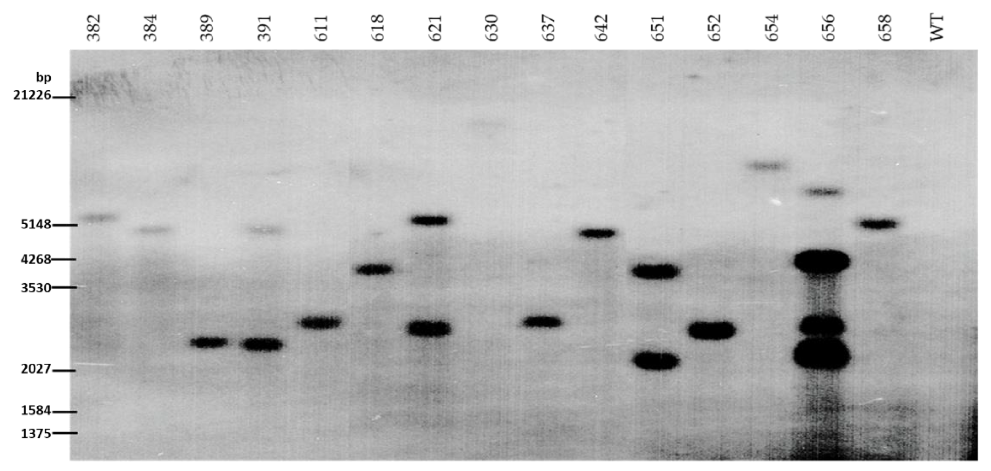 Horticulturae 08 00204 g003 Horticulturae 08 00204 g003