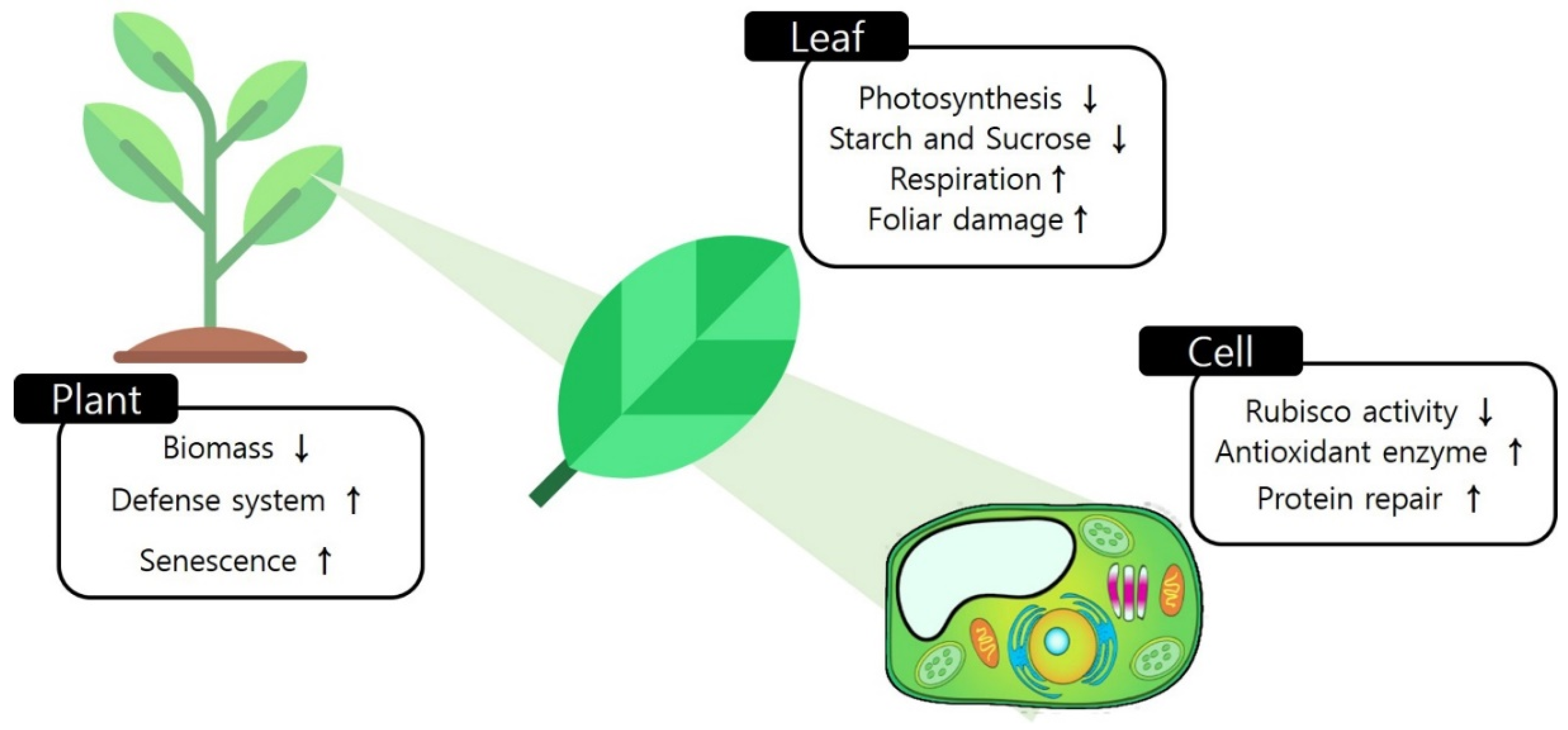 Horticulturae 08 00211 g004