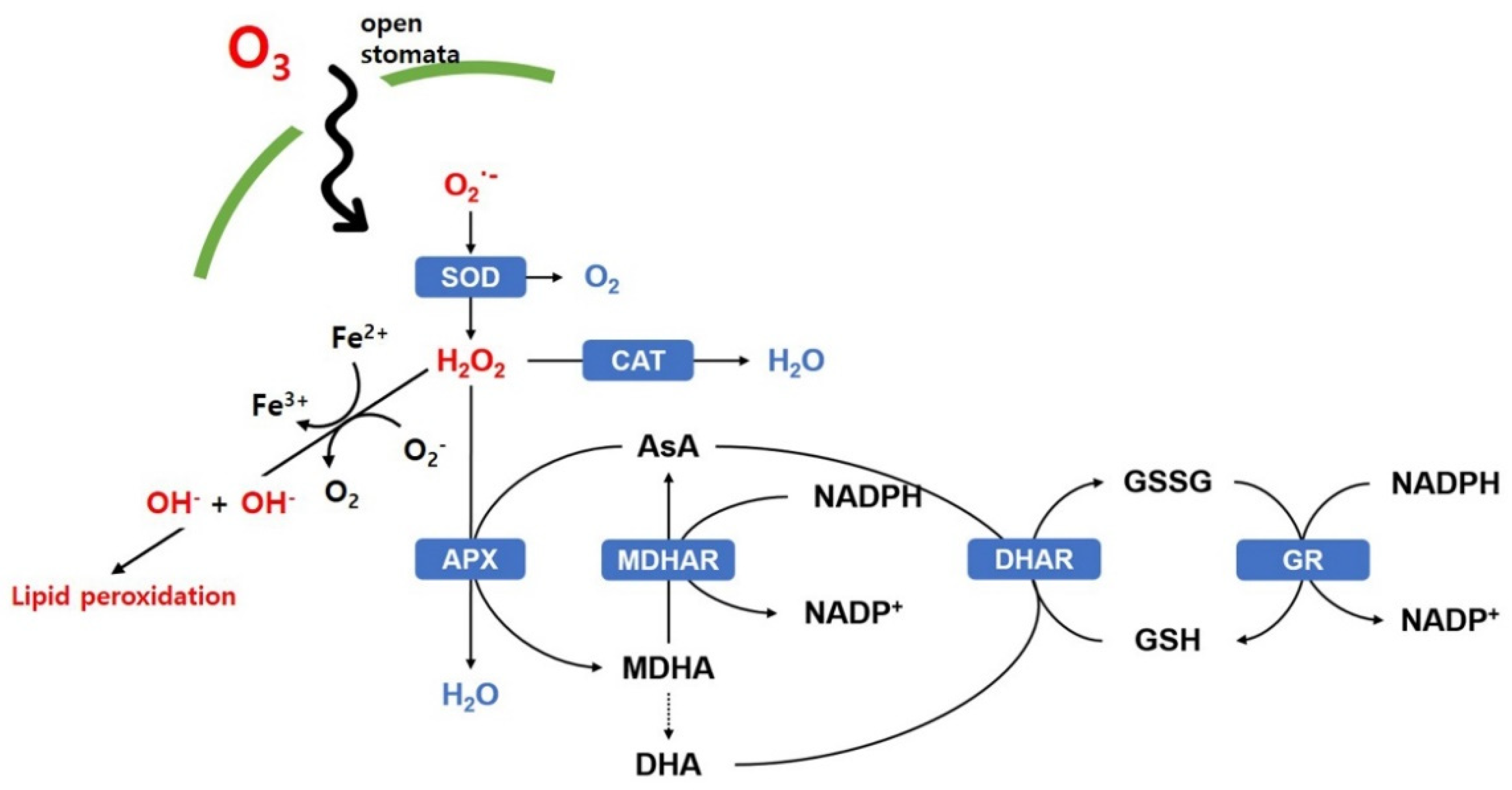 Horticulturae 08 00211 g005