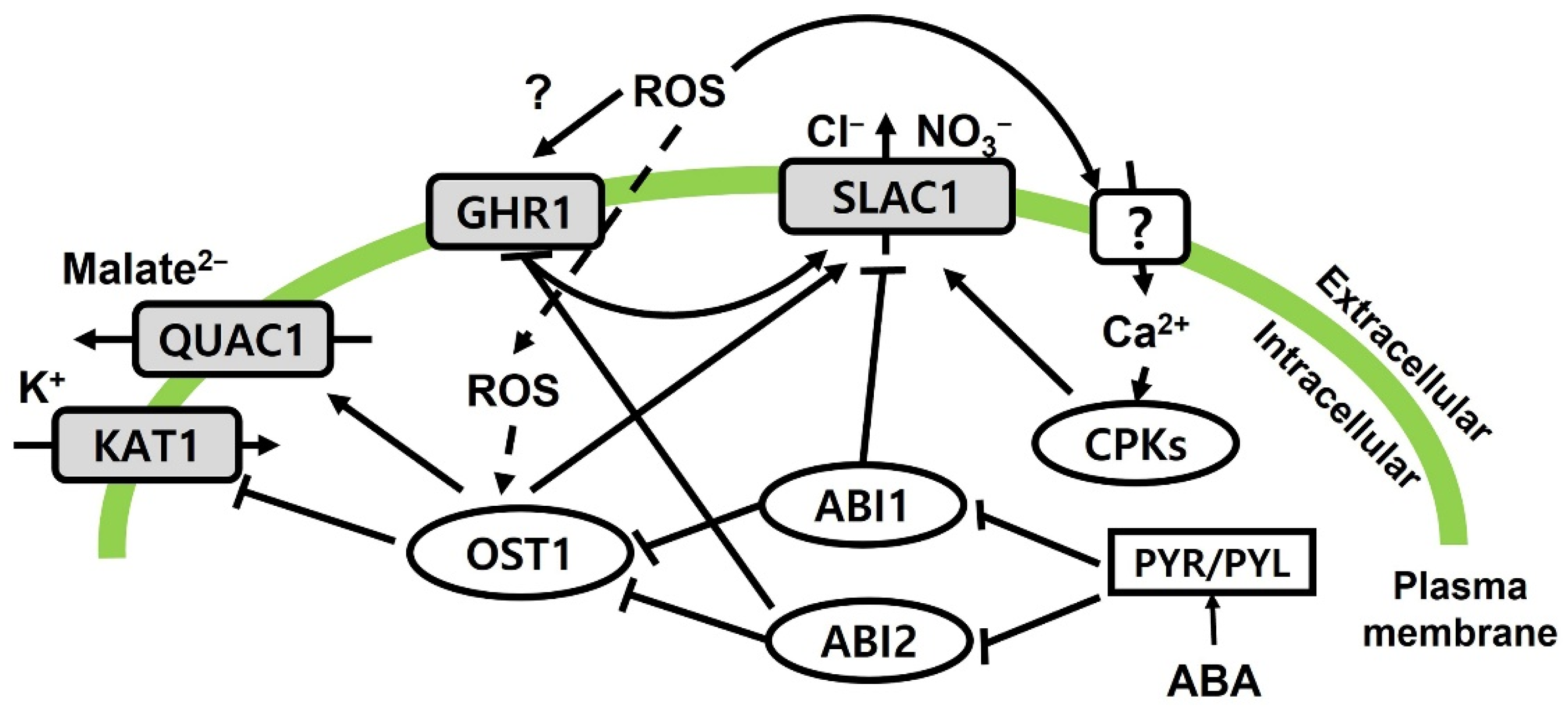 Horticulturae 08 00211 g006