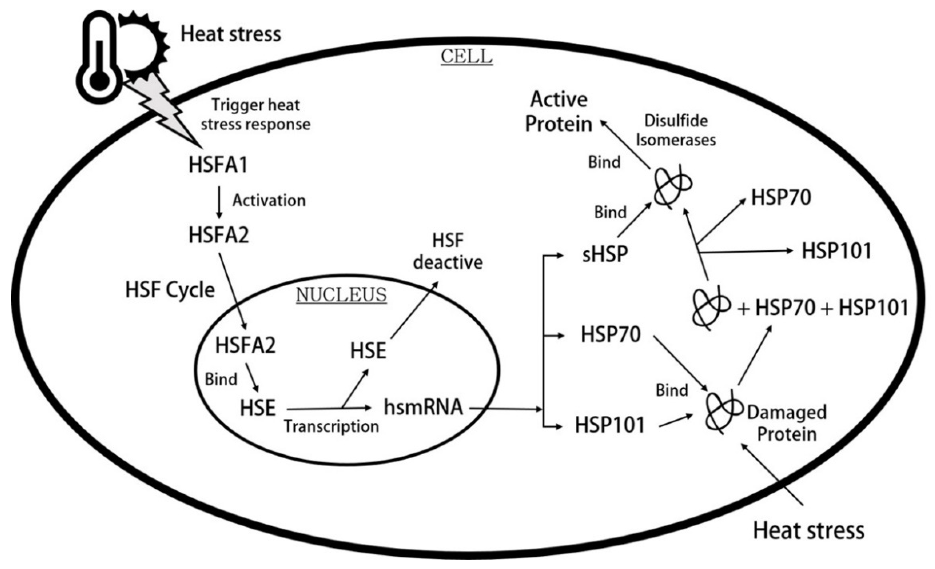 Horticulturae 08 00211 g007
