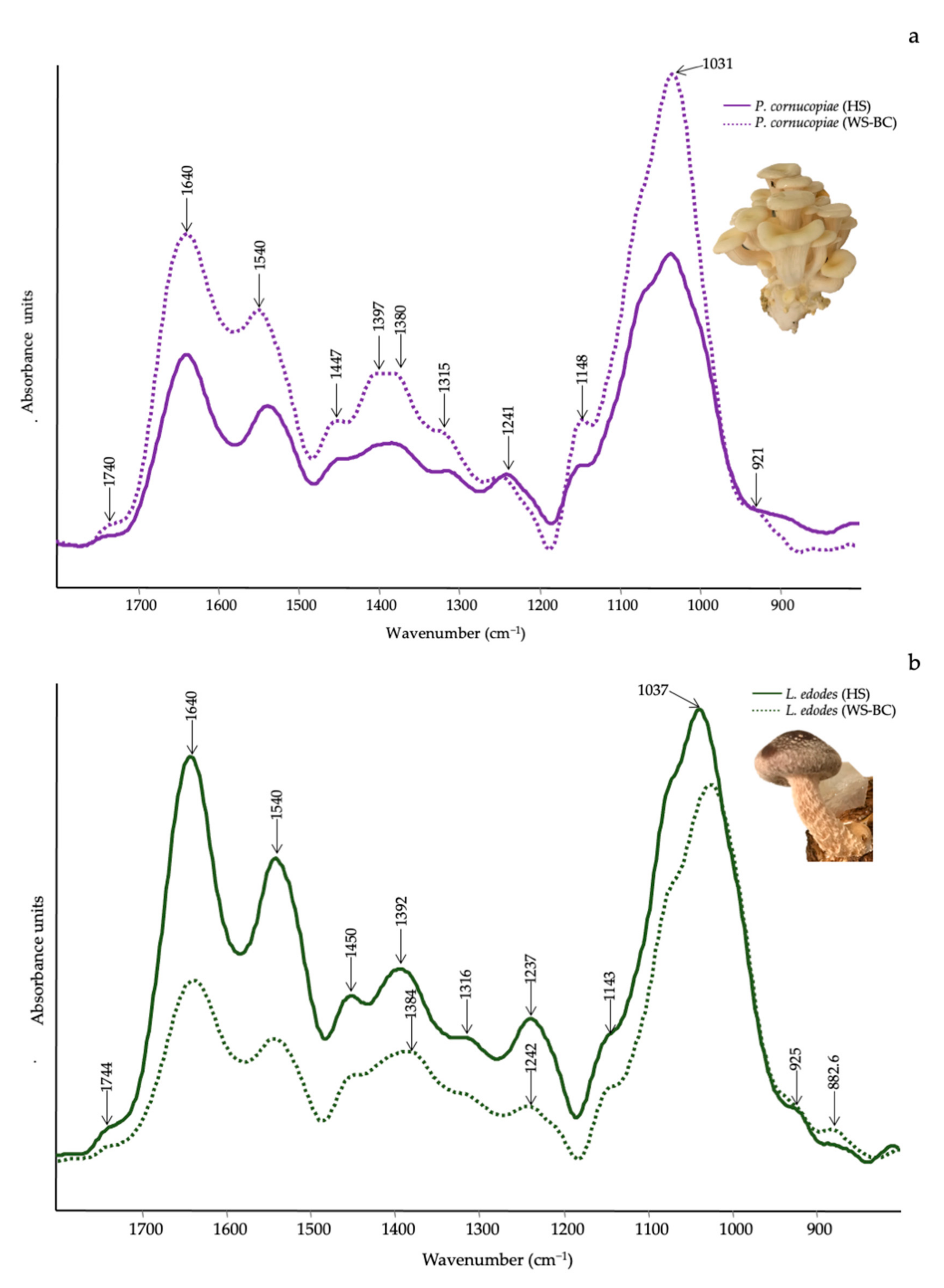 Horticulturae 08 00214 g004a