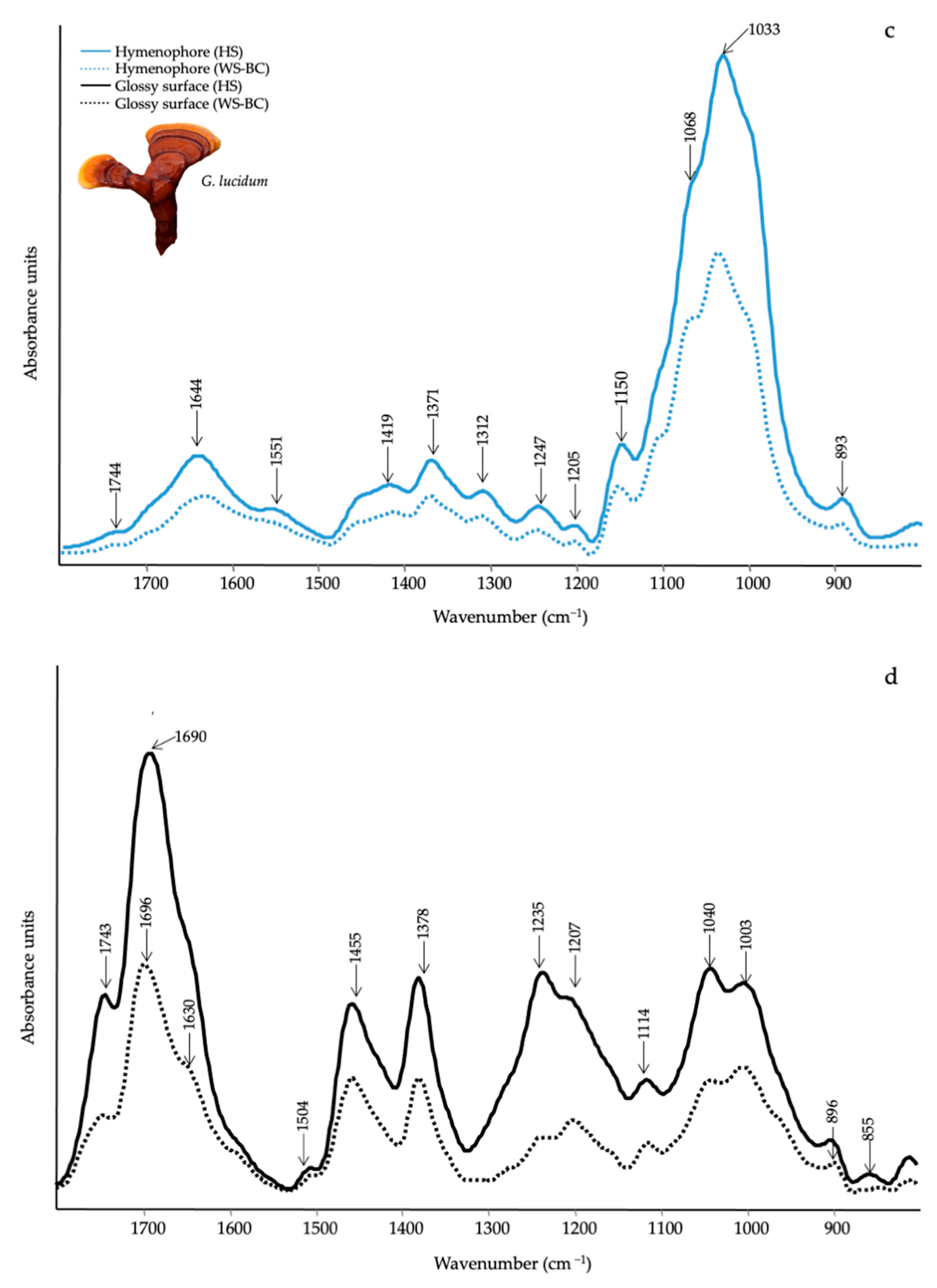 Horticulturae 08 00214 g004b