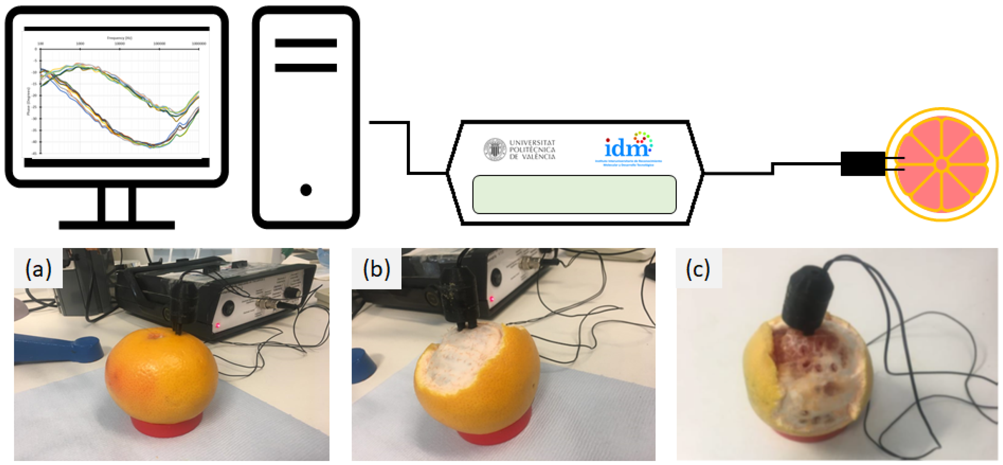 Horticulturae 08 00218 g001