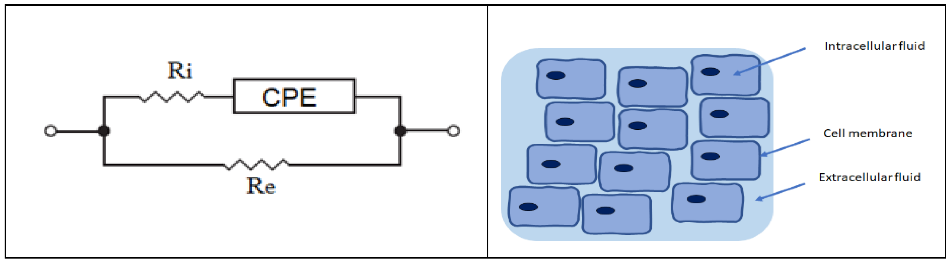 Horticulturae 08 00218 g002