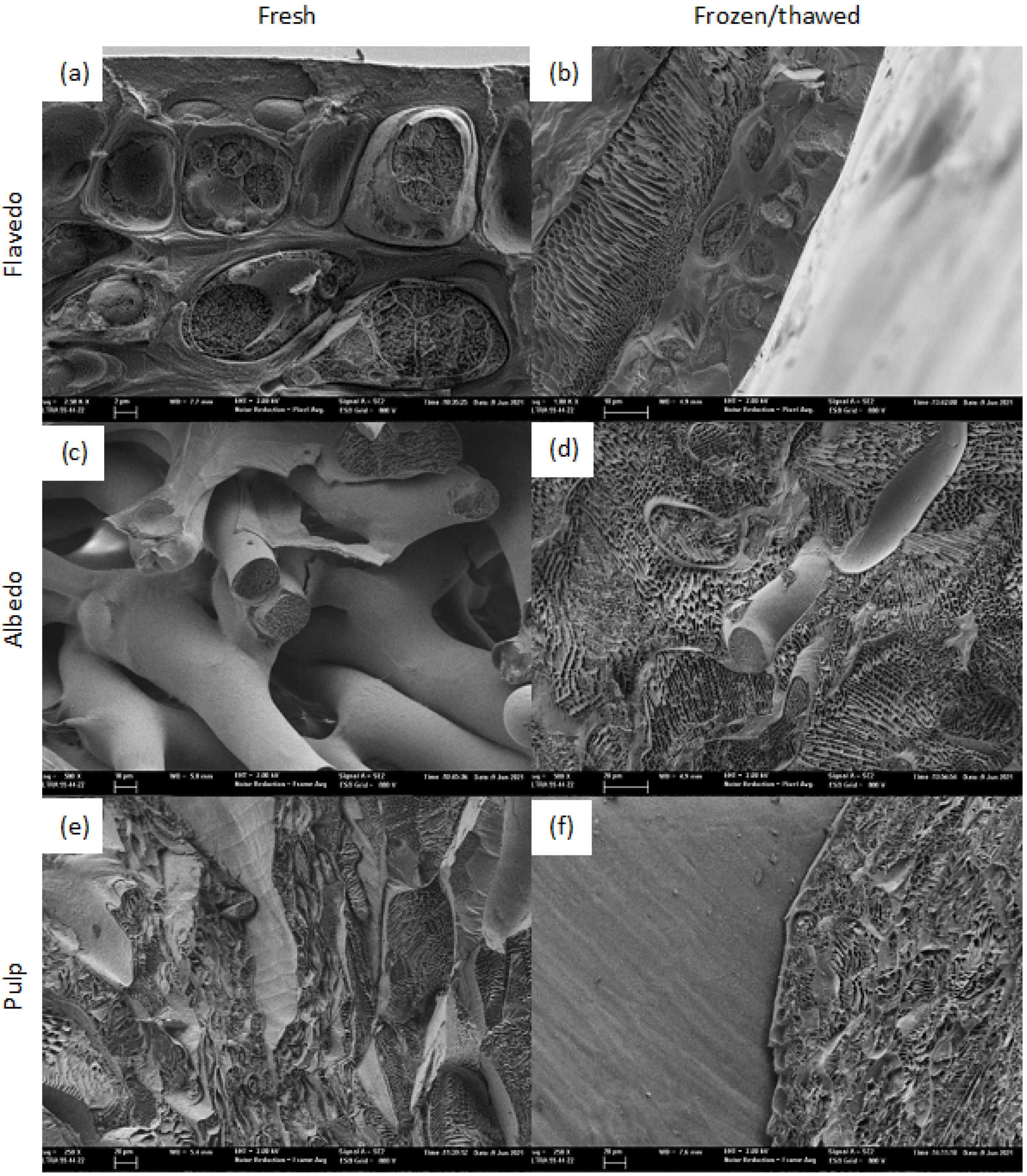 Horticulturae 08 00218 g003