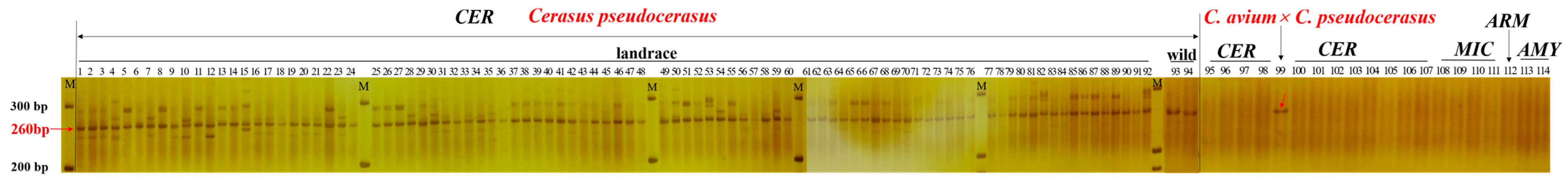 Horticulturae 08 00222 g003 550