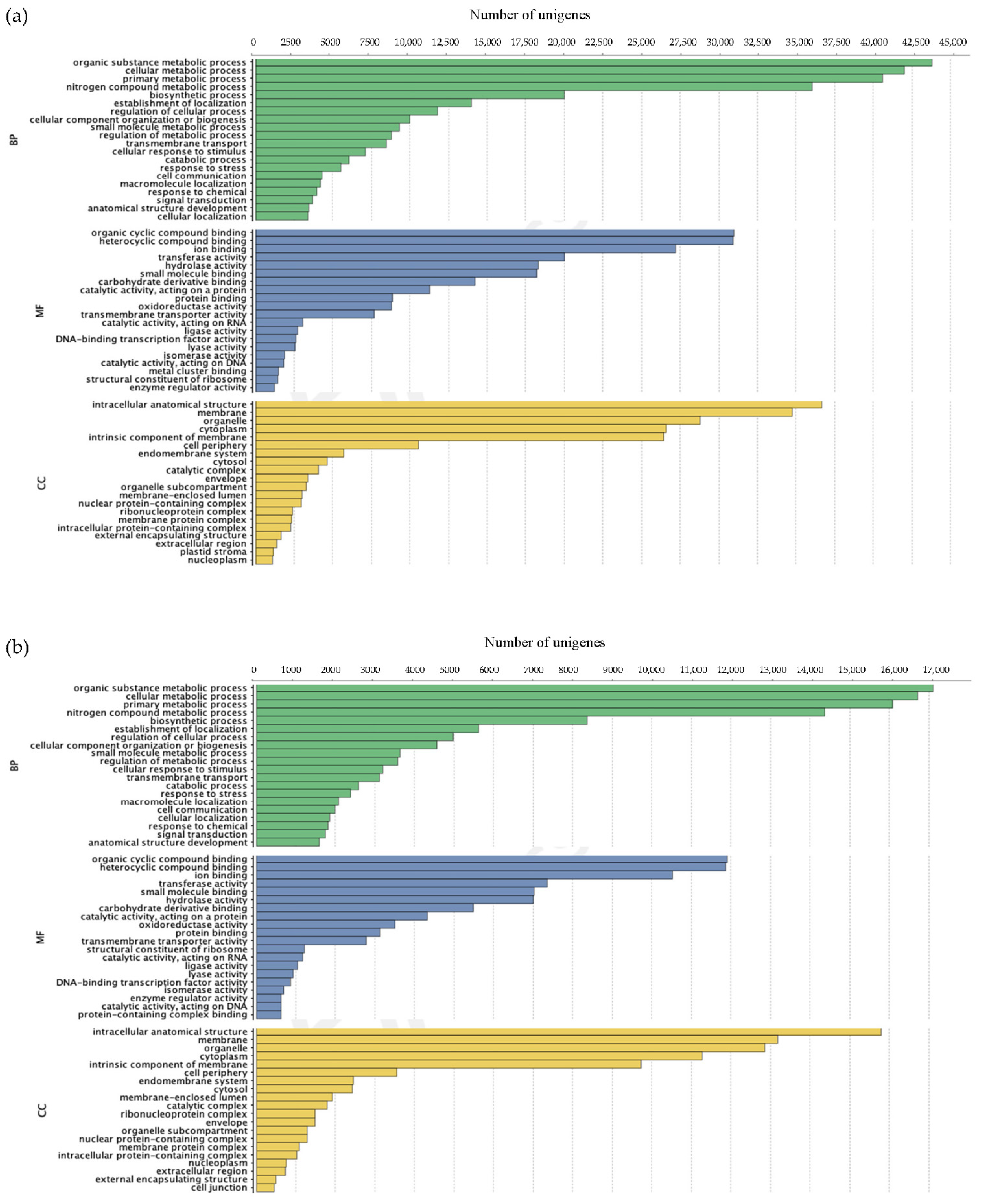 Horticulturae 08 00224 g008a