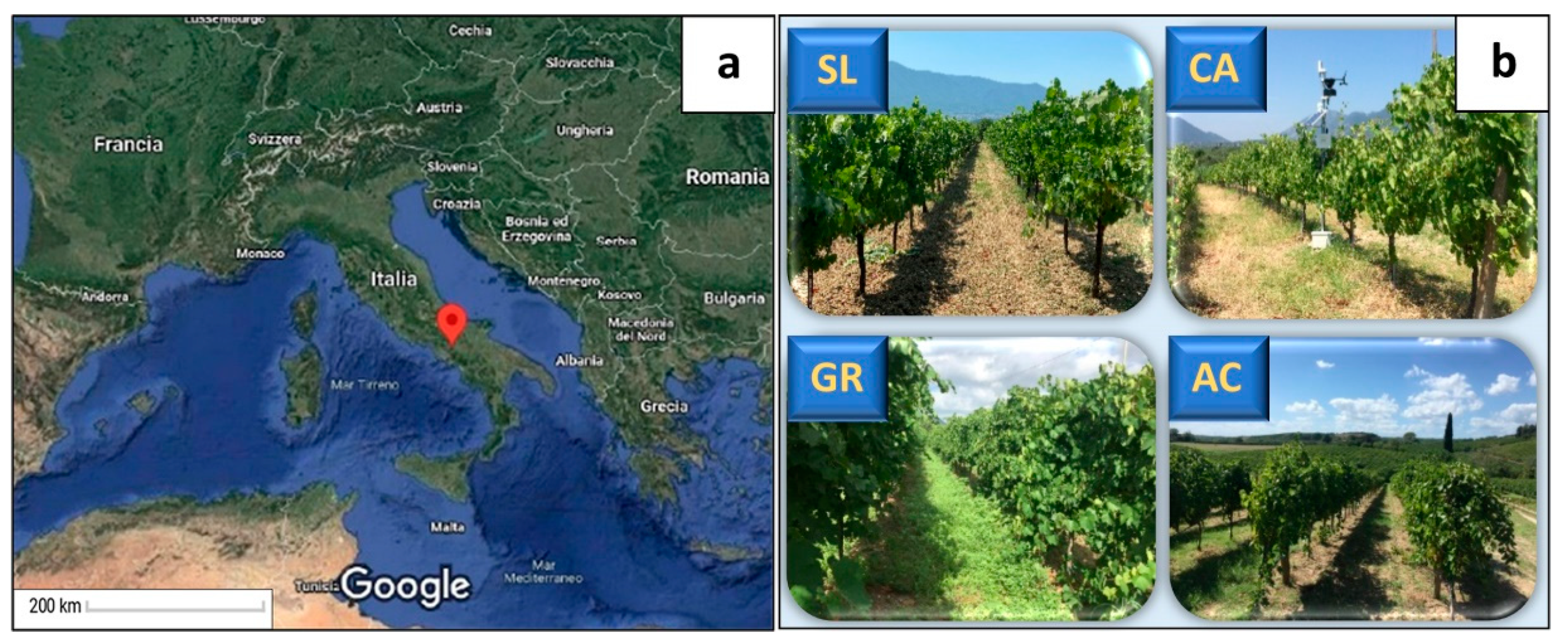 Horticulturae 08 00226 g001