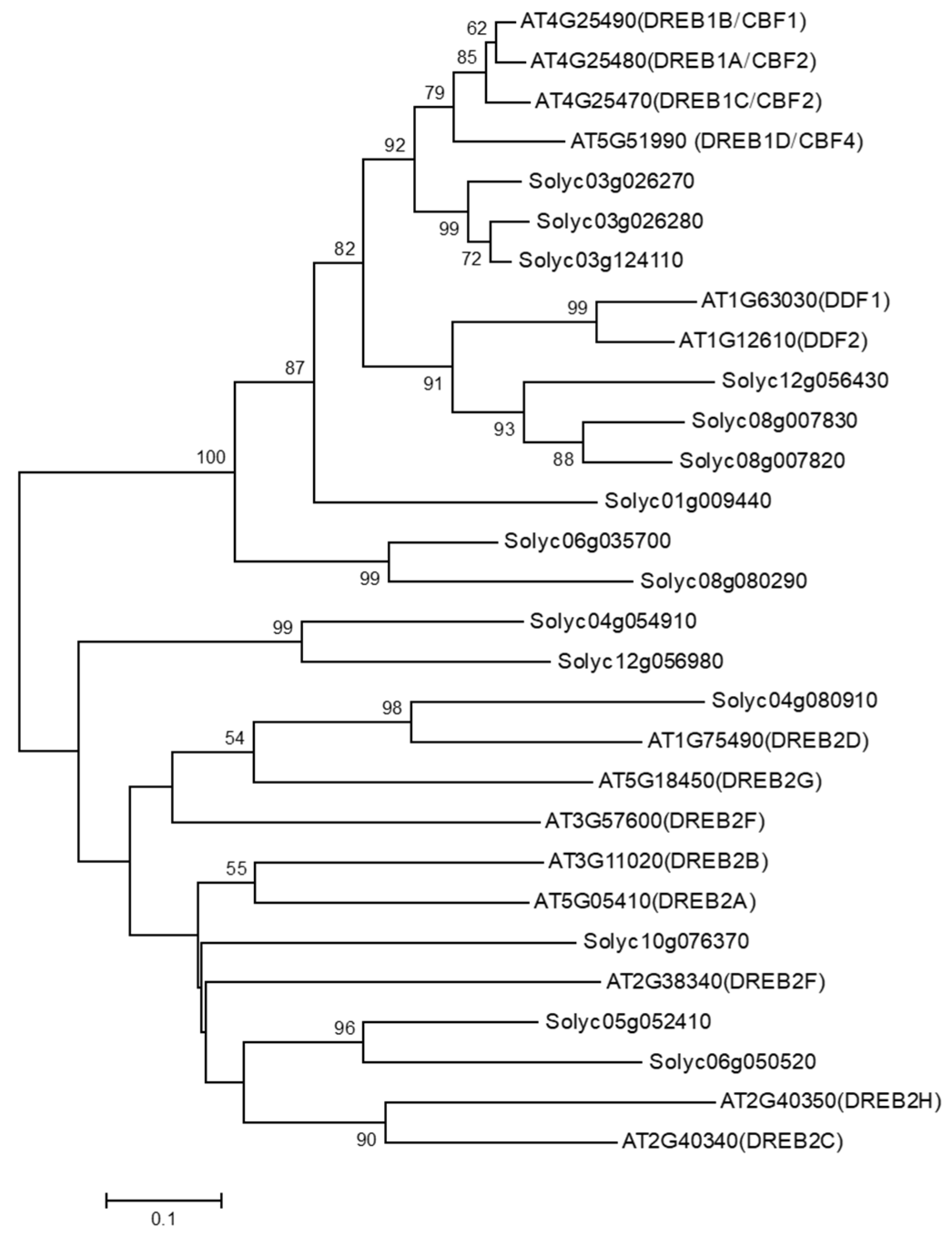 Horticulturae 08 00230 g001