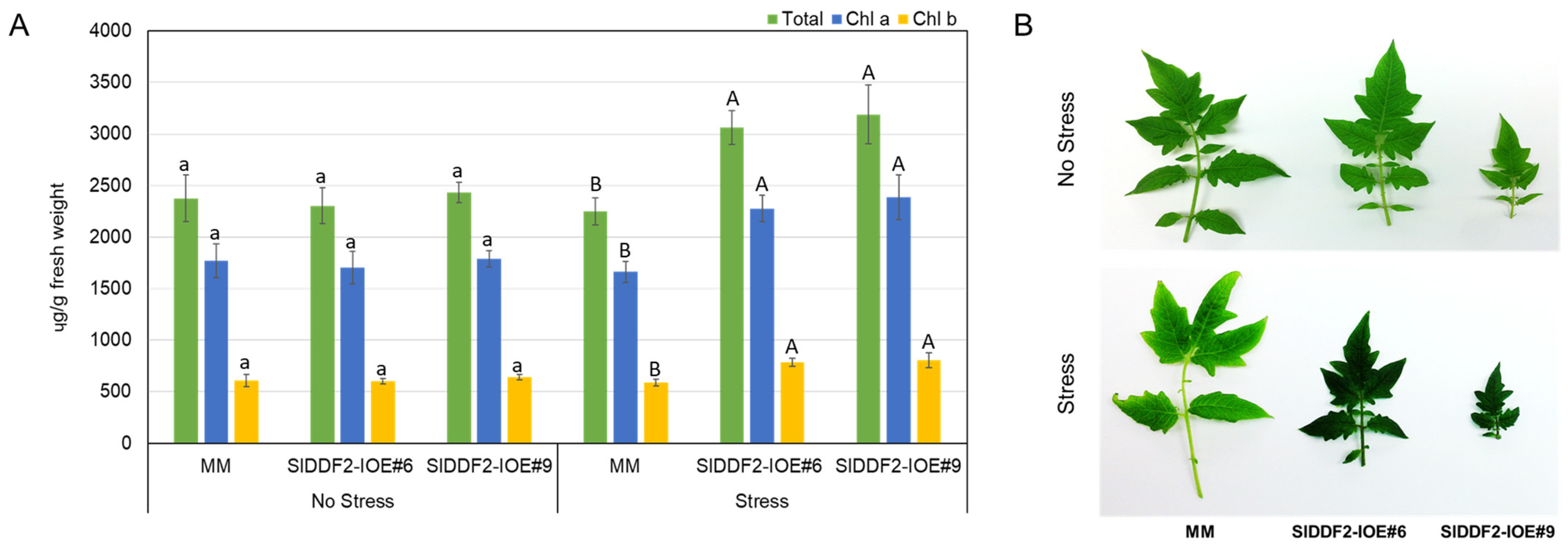 Horticulturae 08 00230 g004