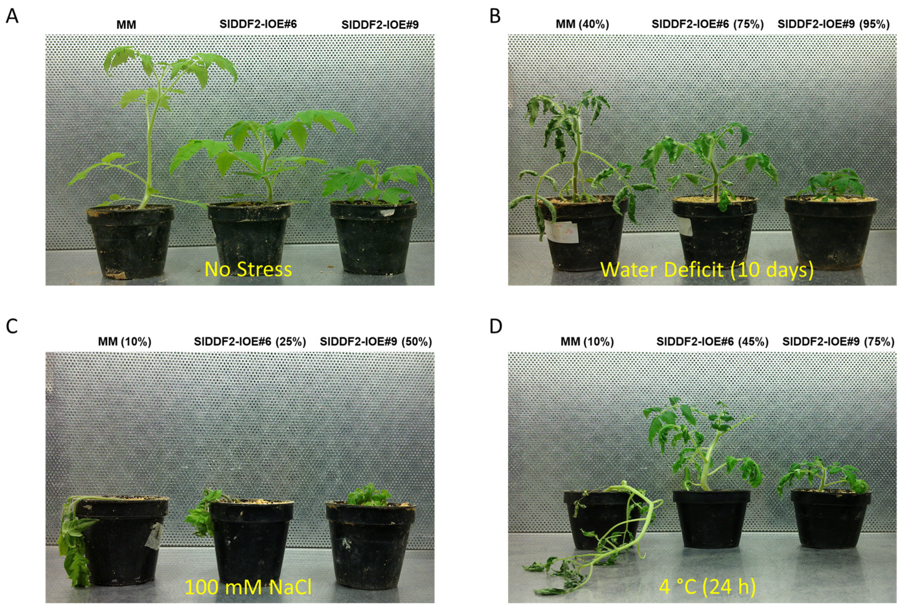 Horticulturae 08 00230 g006