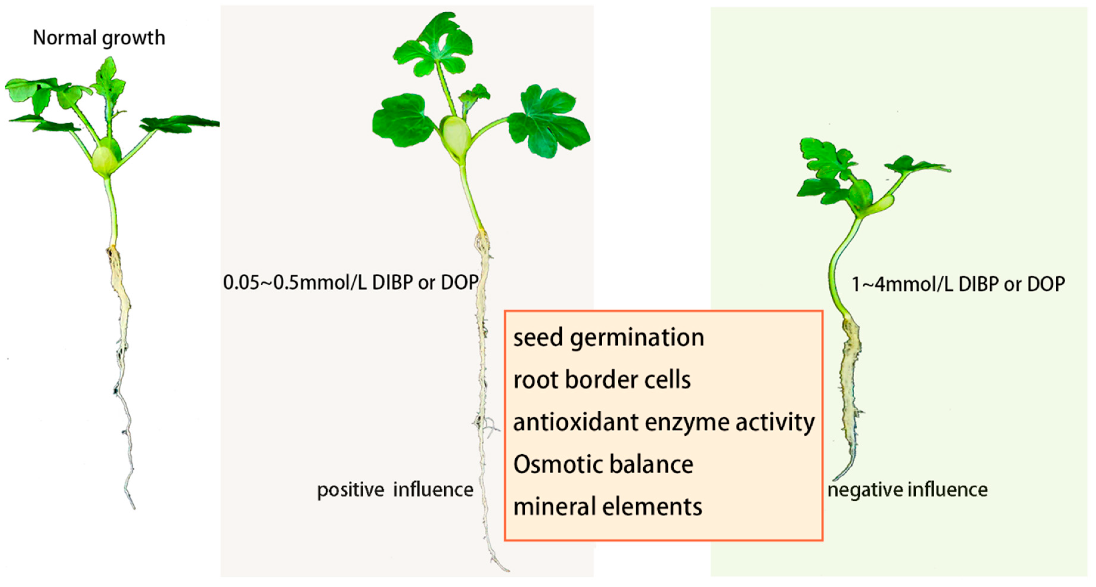 Horticulturae 08 00235 g006 Horticulturae 08 00235 g006