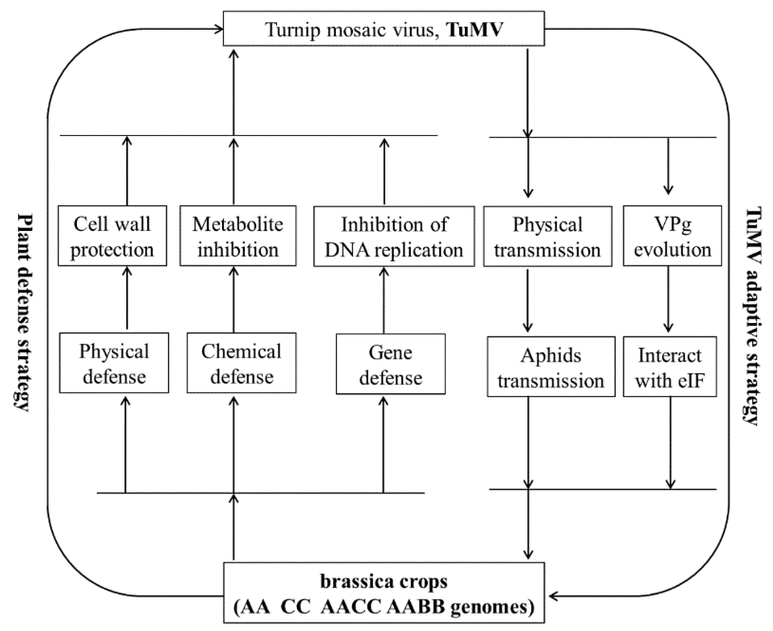 Horticulturae 08 00247 g002 Horticulturae 08 00247 g002