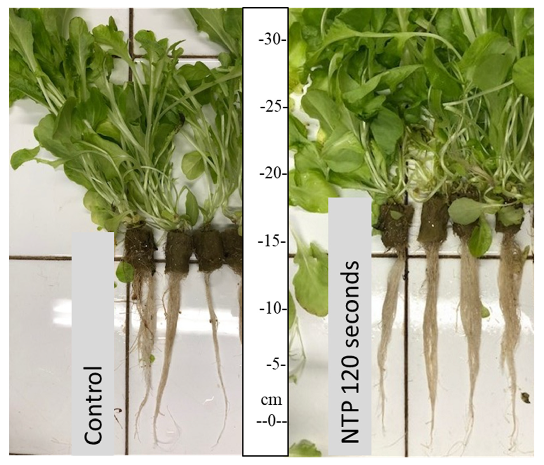 Horticulturae 08 00251 g008 550