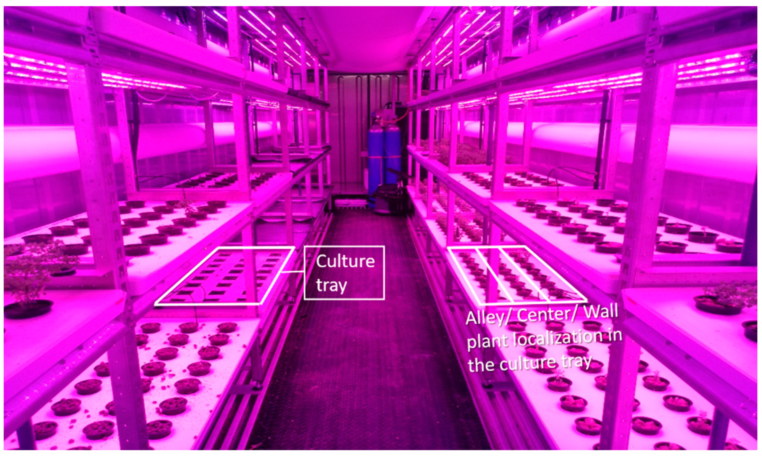 Horticulturae 08 00256 g002 Horticulturae 08 00256 g002