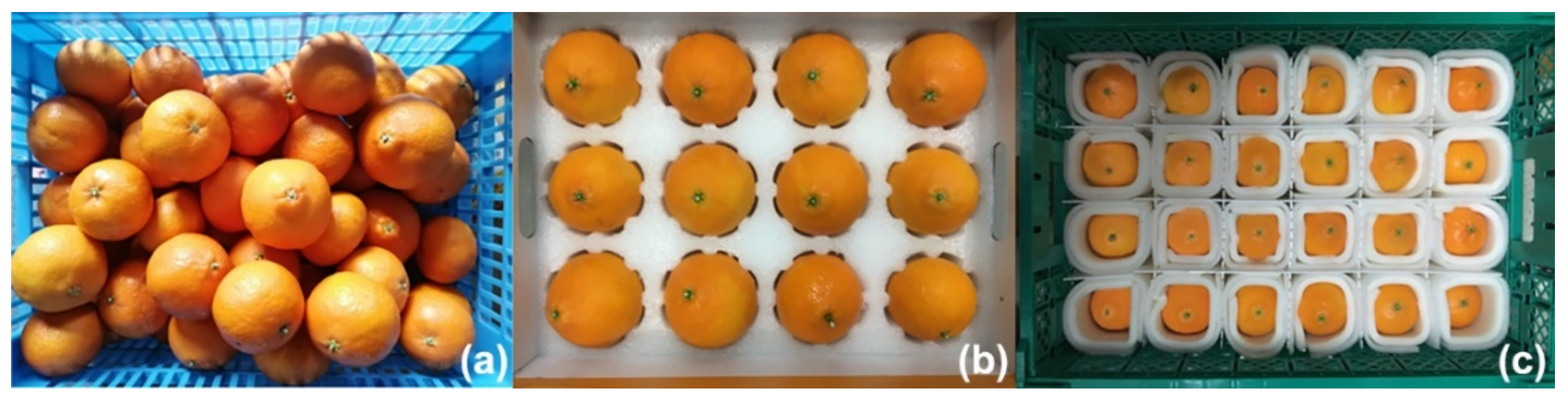 Horticulturae 08 00258 g001