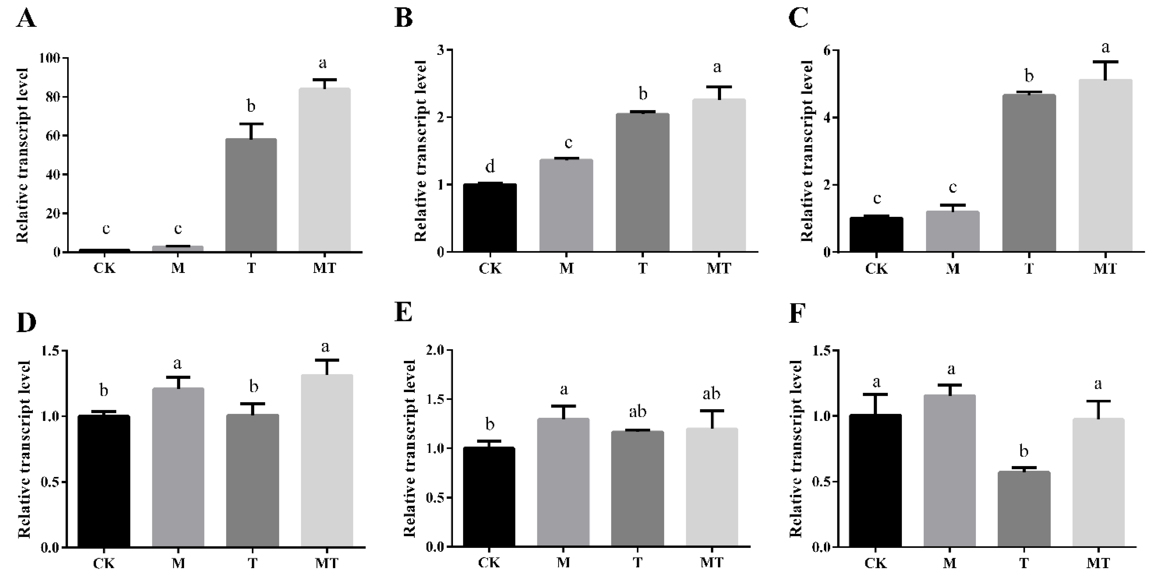 Horticulturae 08 00260 g006