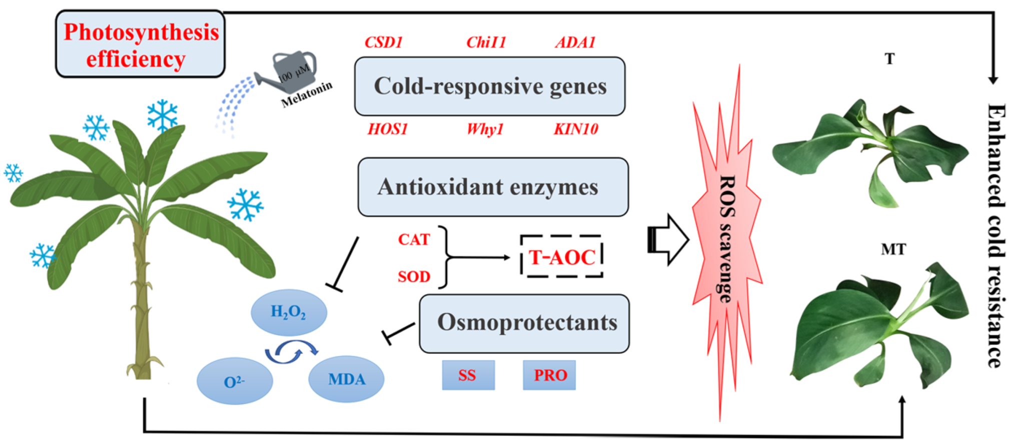 Horticulturae 08 00260 g007