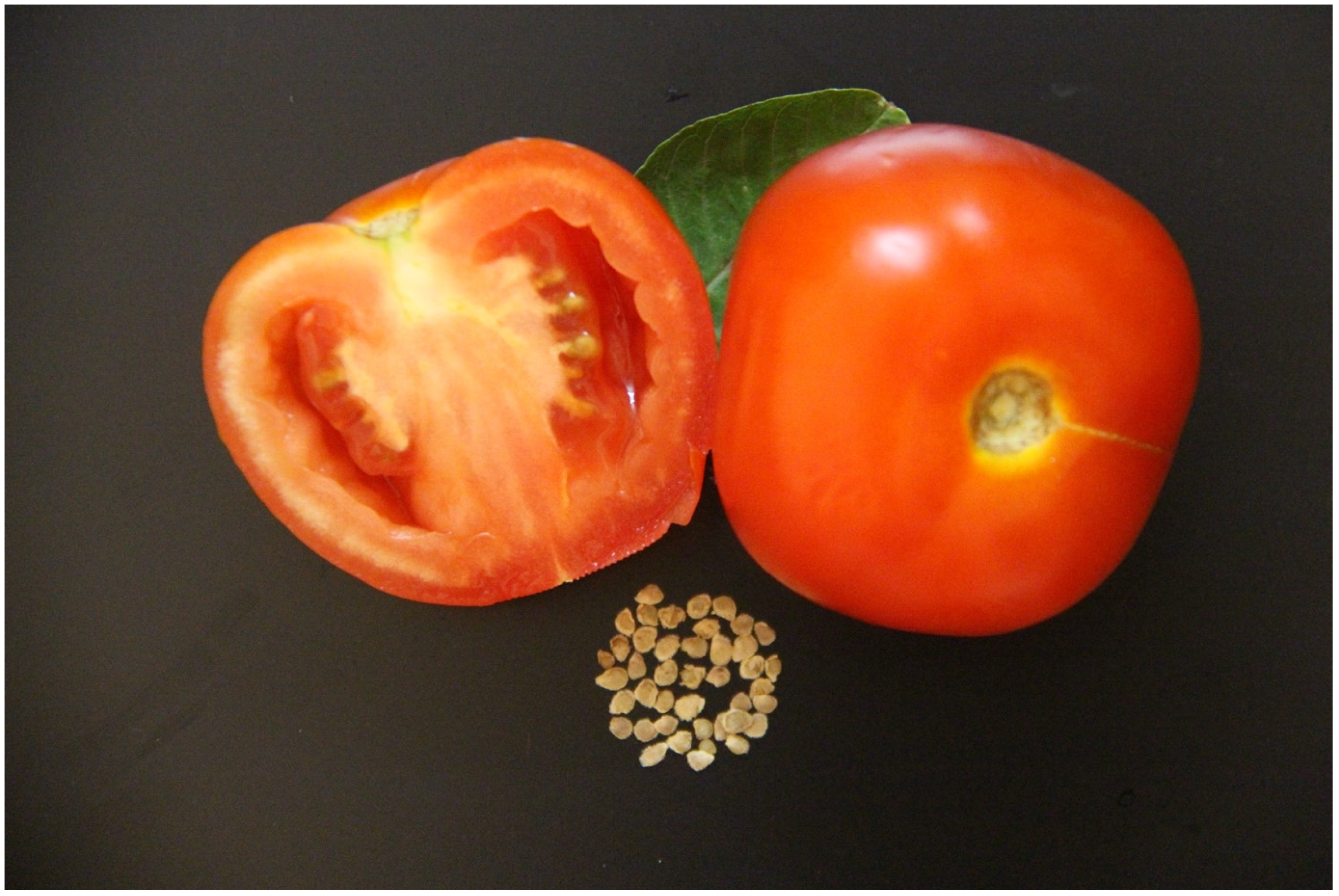 Horticulturae 08 00265 g001 Horticulturae 08 00265 g001